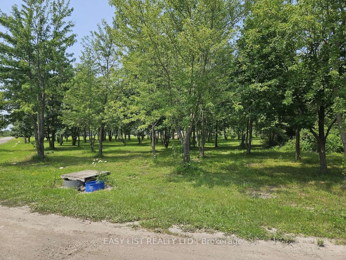 4625 Richardson Sideroad Property Photo 25