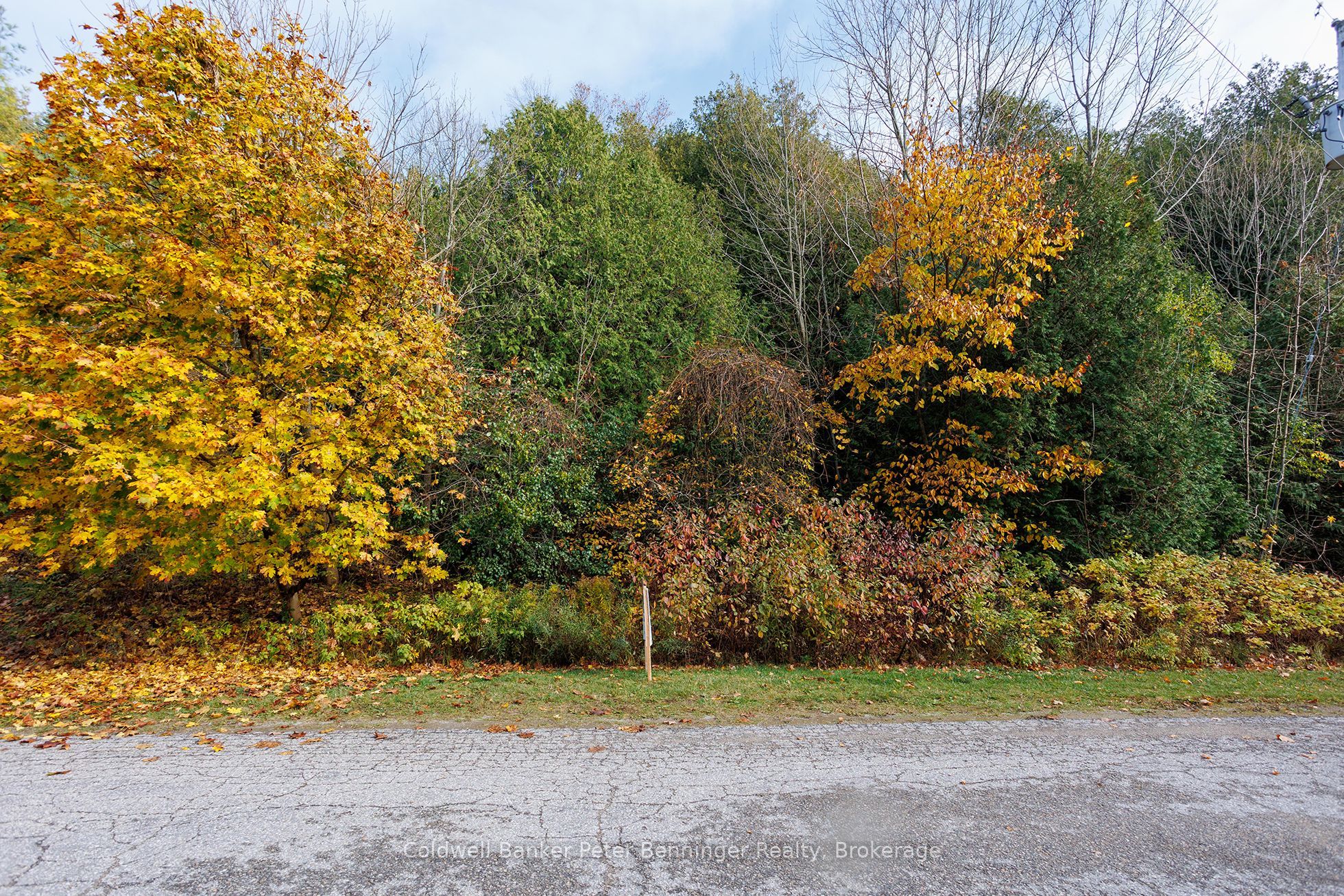 Lt 17 Pl 594 Courtney Court Property Photo 1