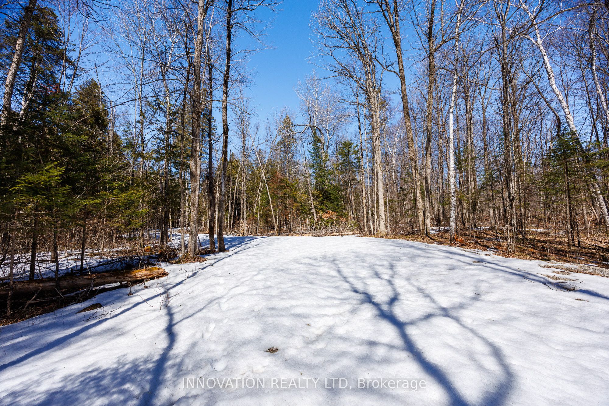 1681 Quarry Road Property Photo 16