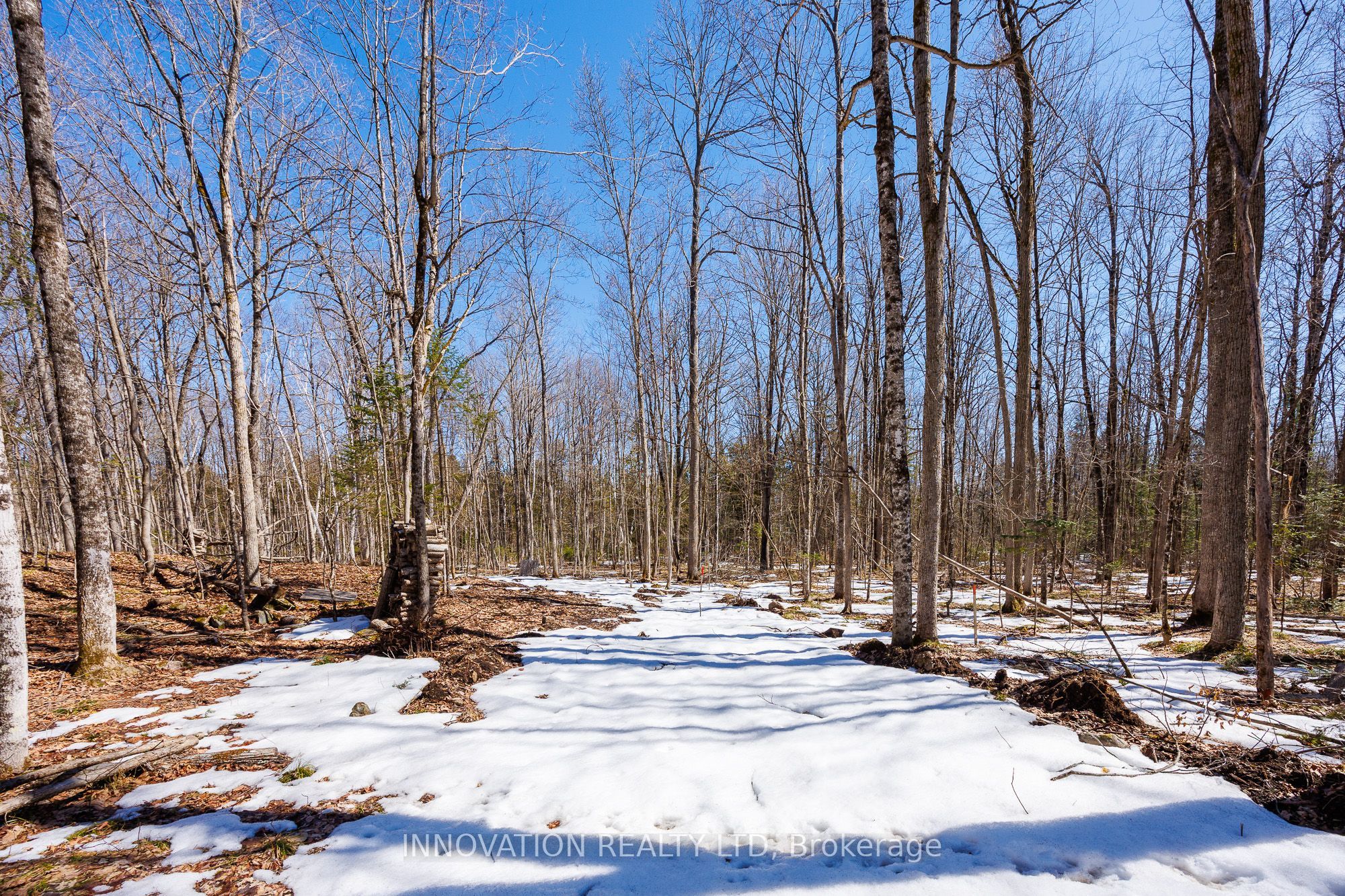 1681 Quarry Road Property Photo 28