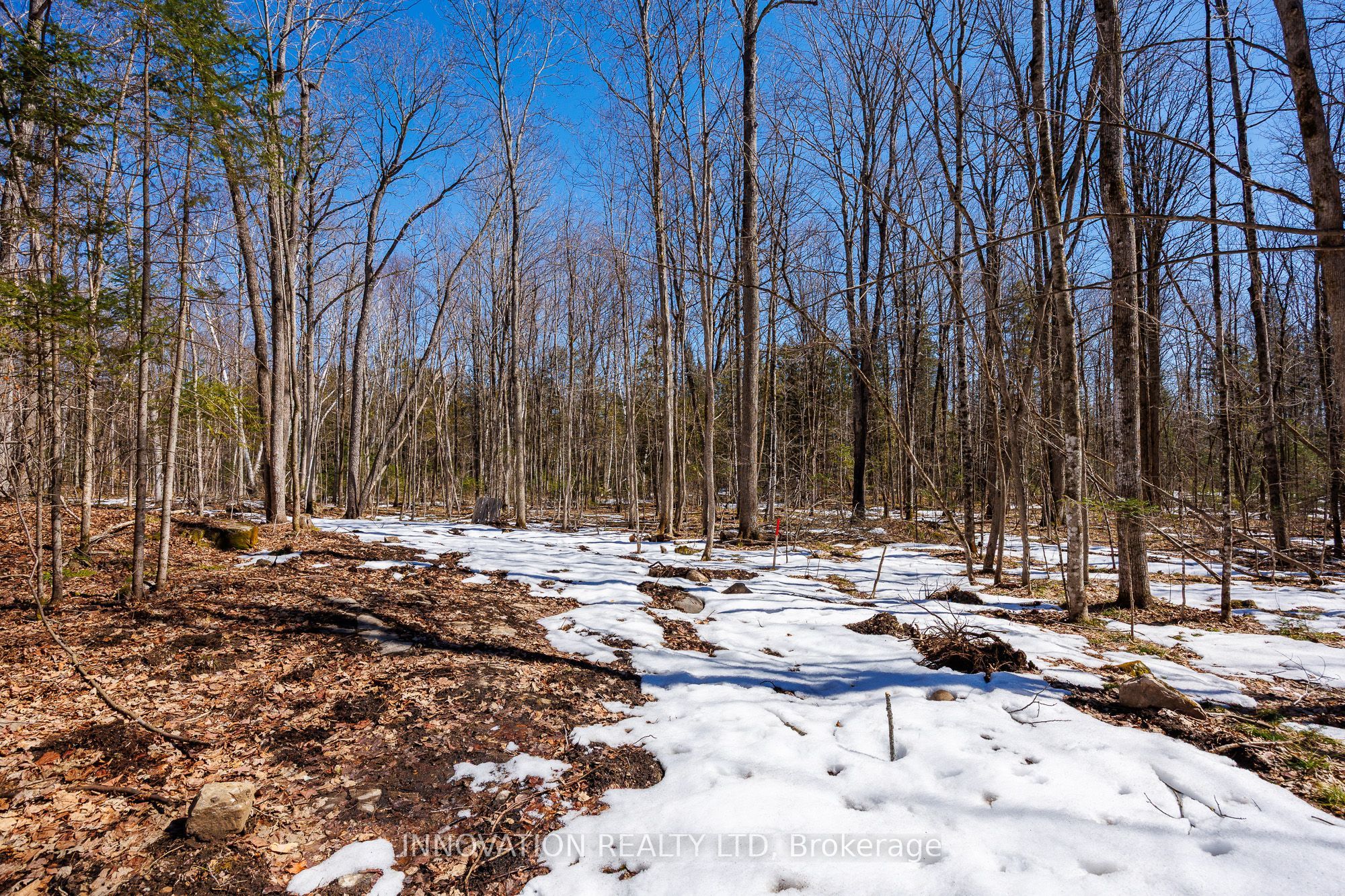 1681 Quarry Road Property Photo 30