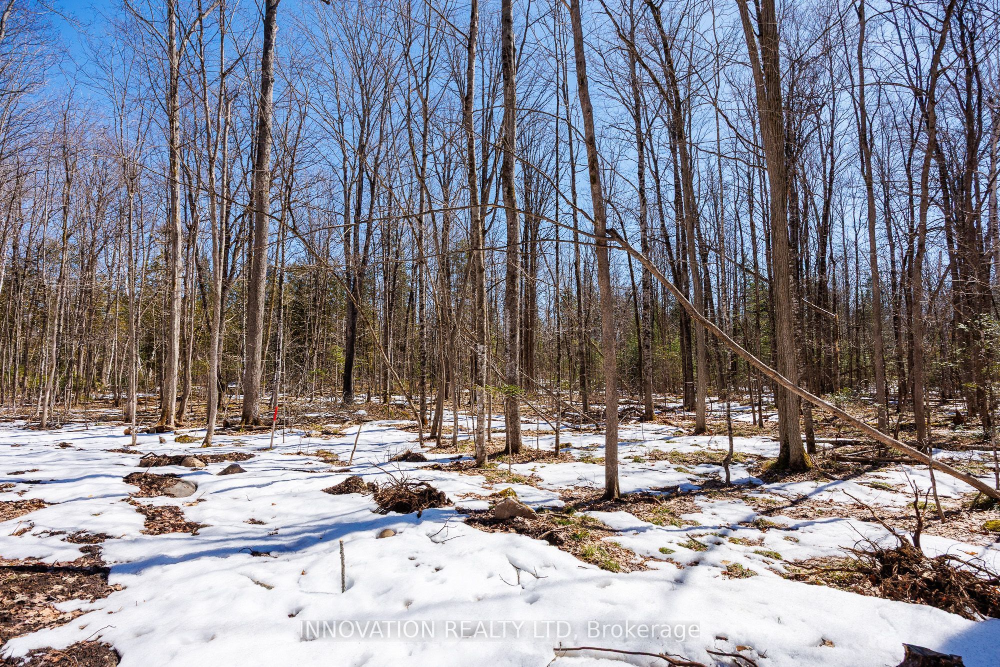 1681 Quarry Road Property Photo 31
