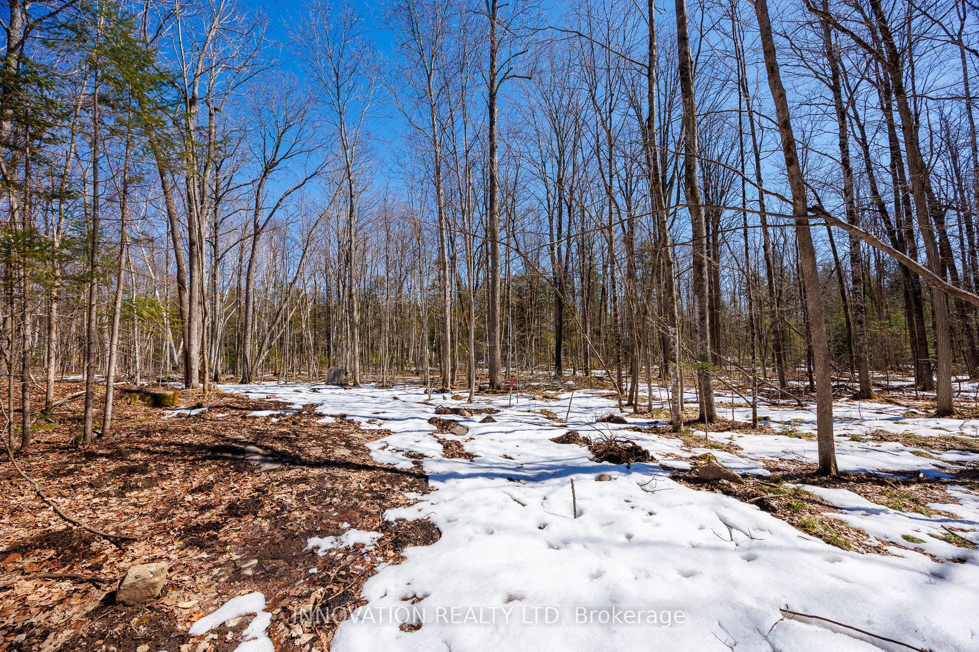1681 Quarry Road Property Photo 32