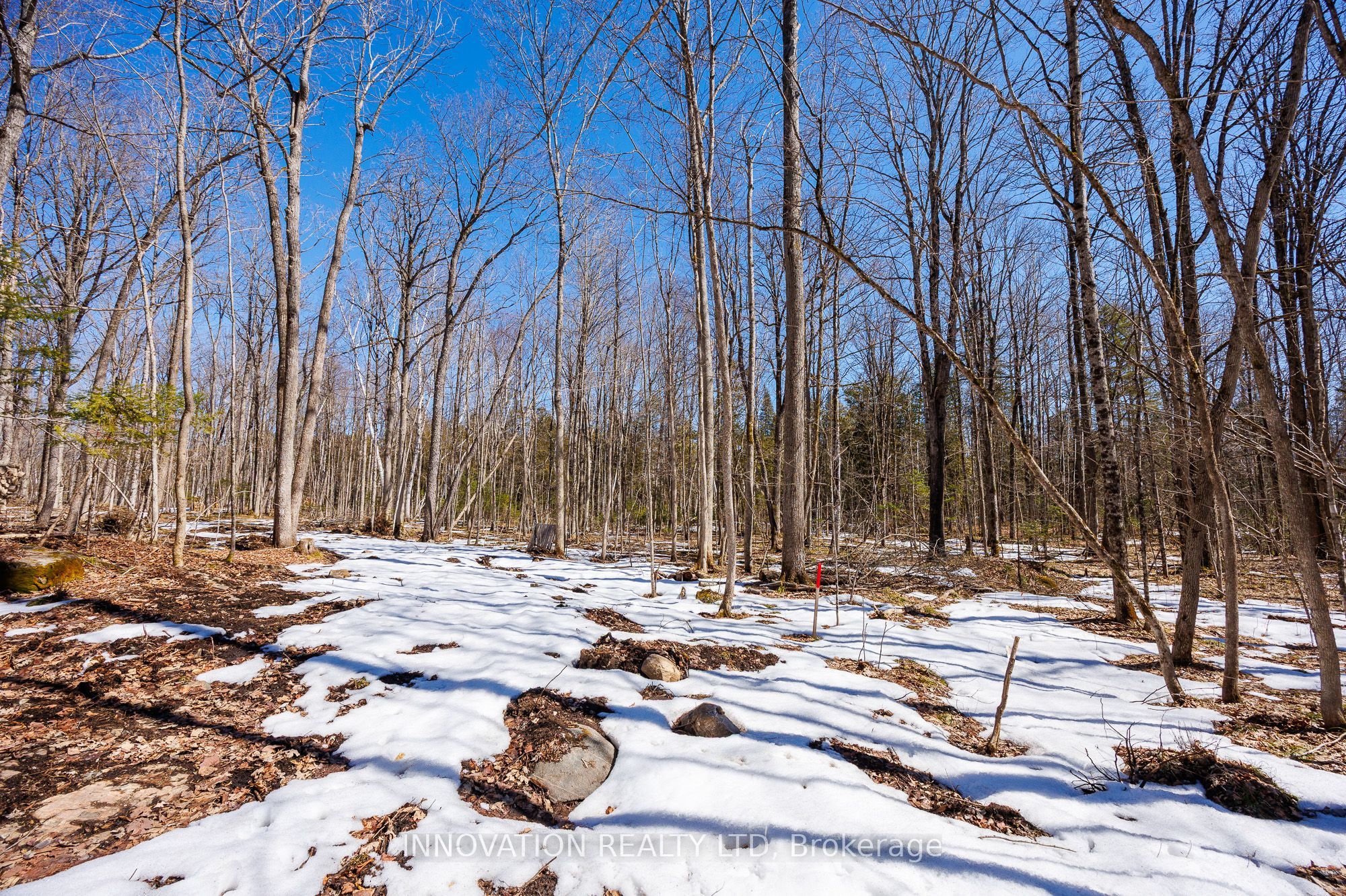 1681 Quarry Road Property Photo 33