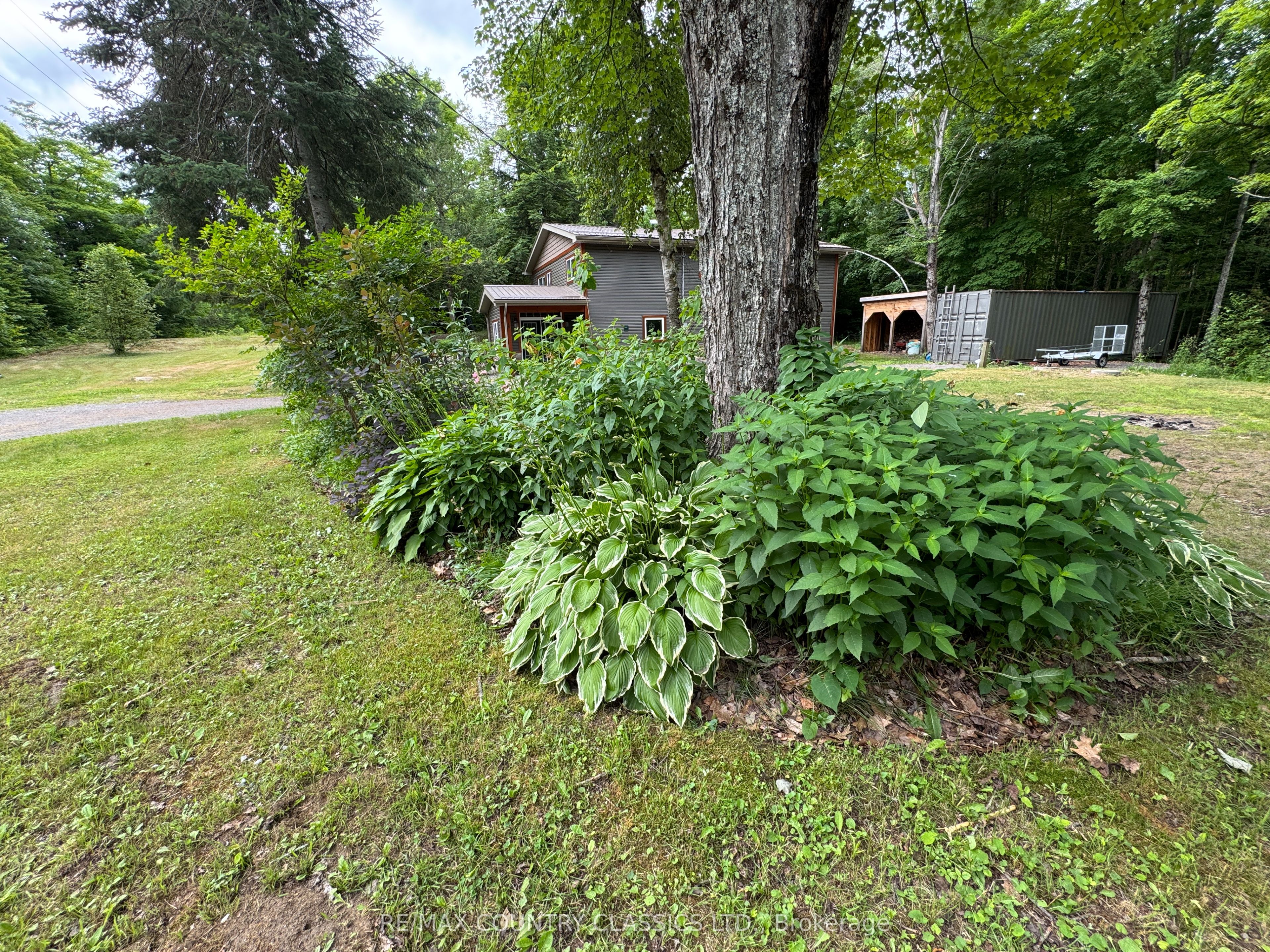 11780 Highway 28 N/a S Property Photo 37