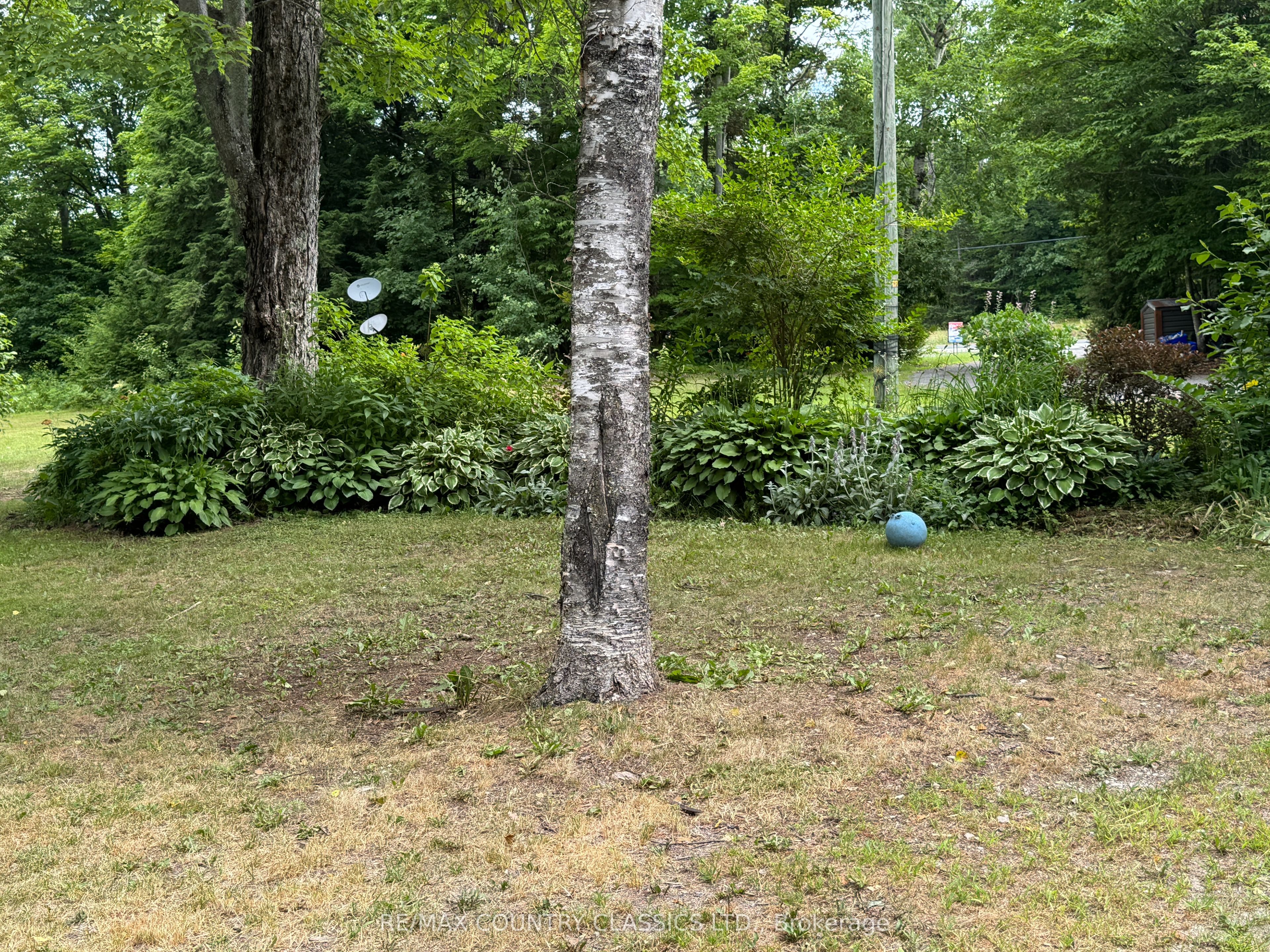 11780 Highway 28 N/a S Property Photo 42