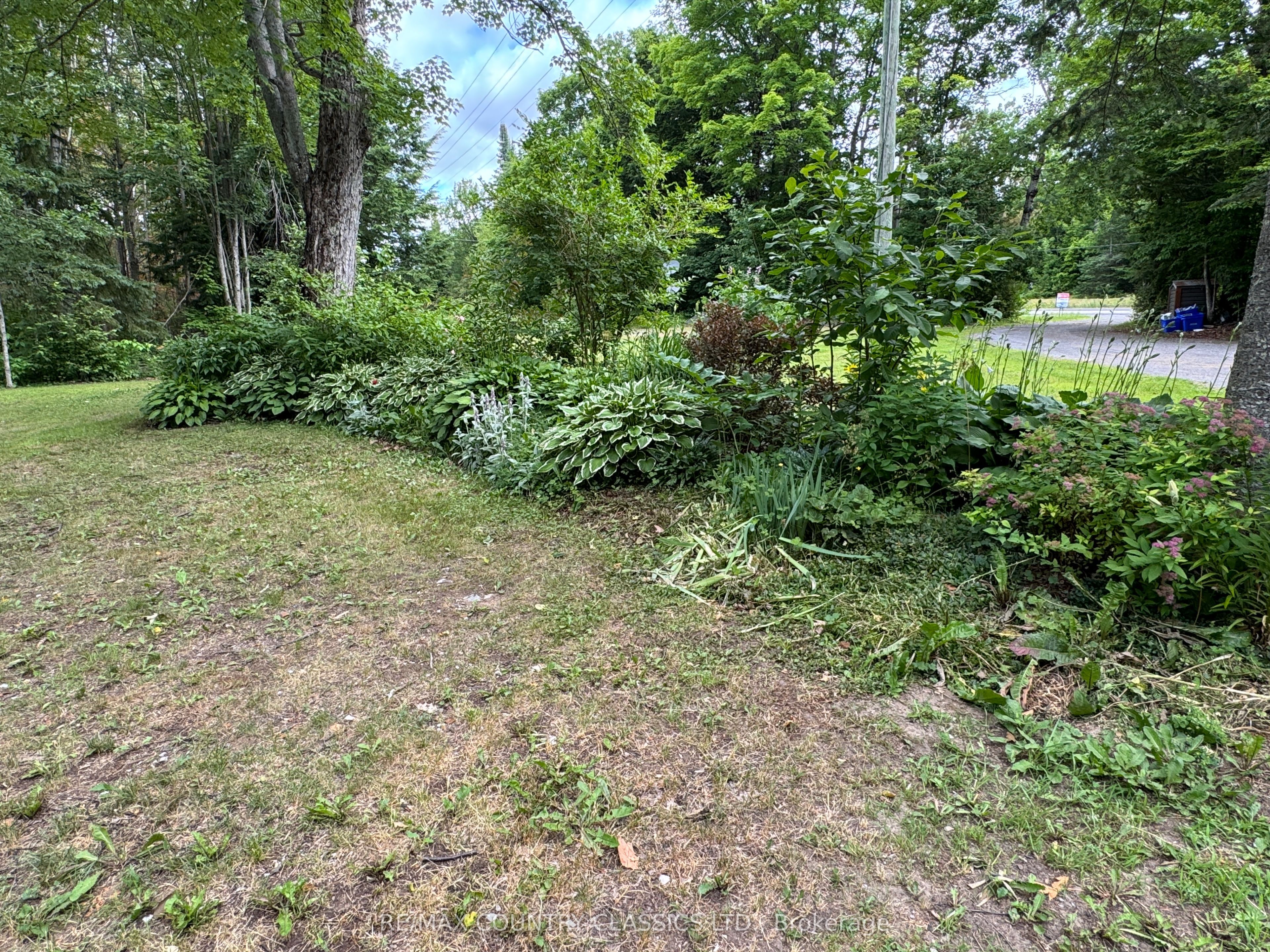 11780 Highway 28 N/a S Property Photo 43