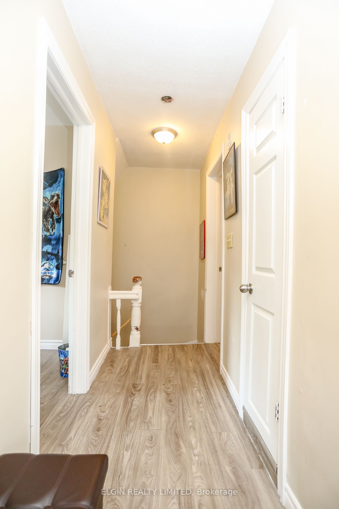 63 Elizabeth St Property Photo 26