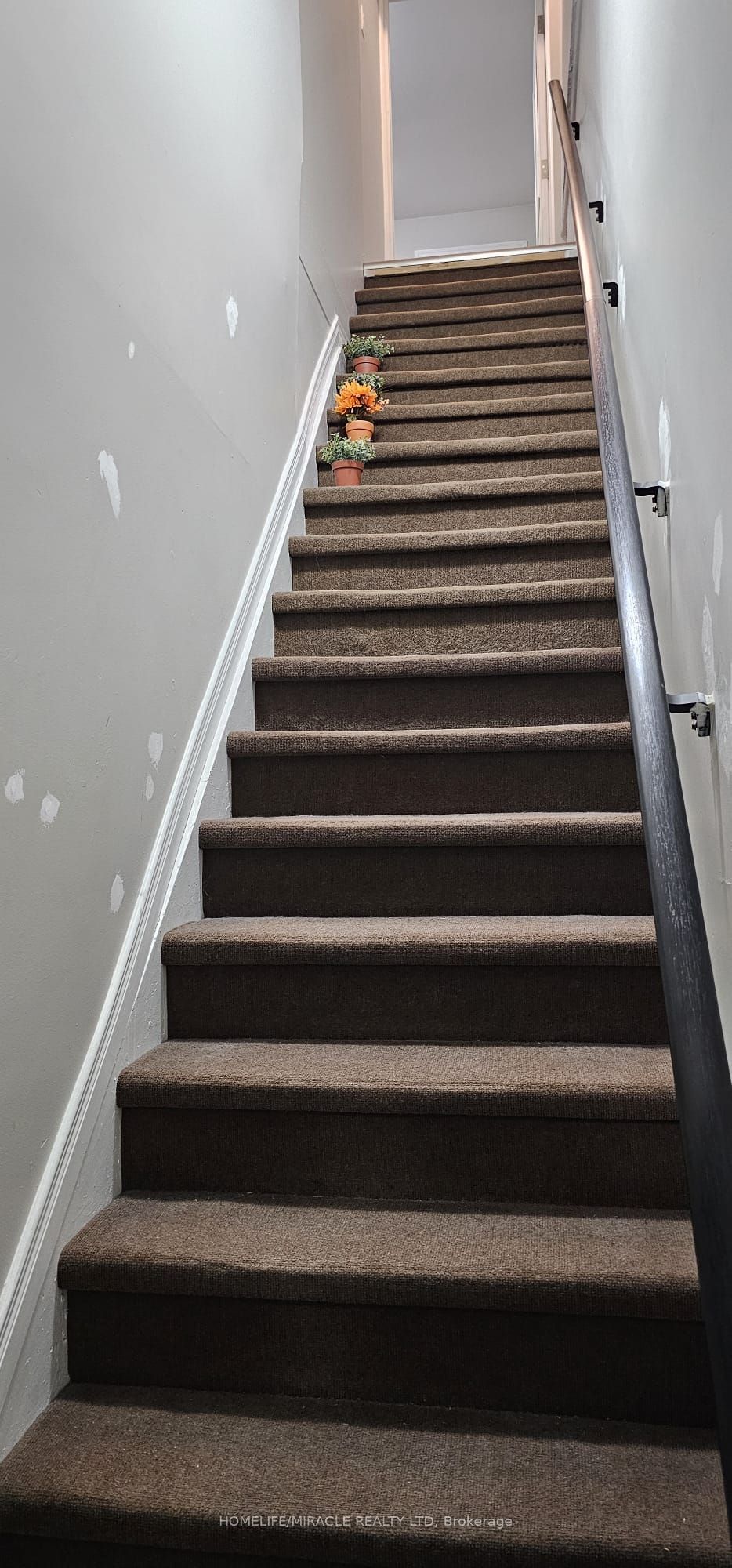 #minto - 94 Elora Street Property Photo 28