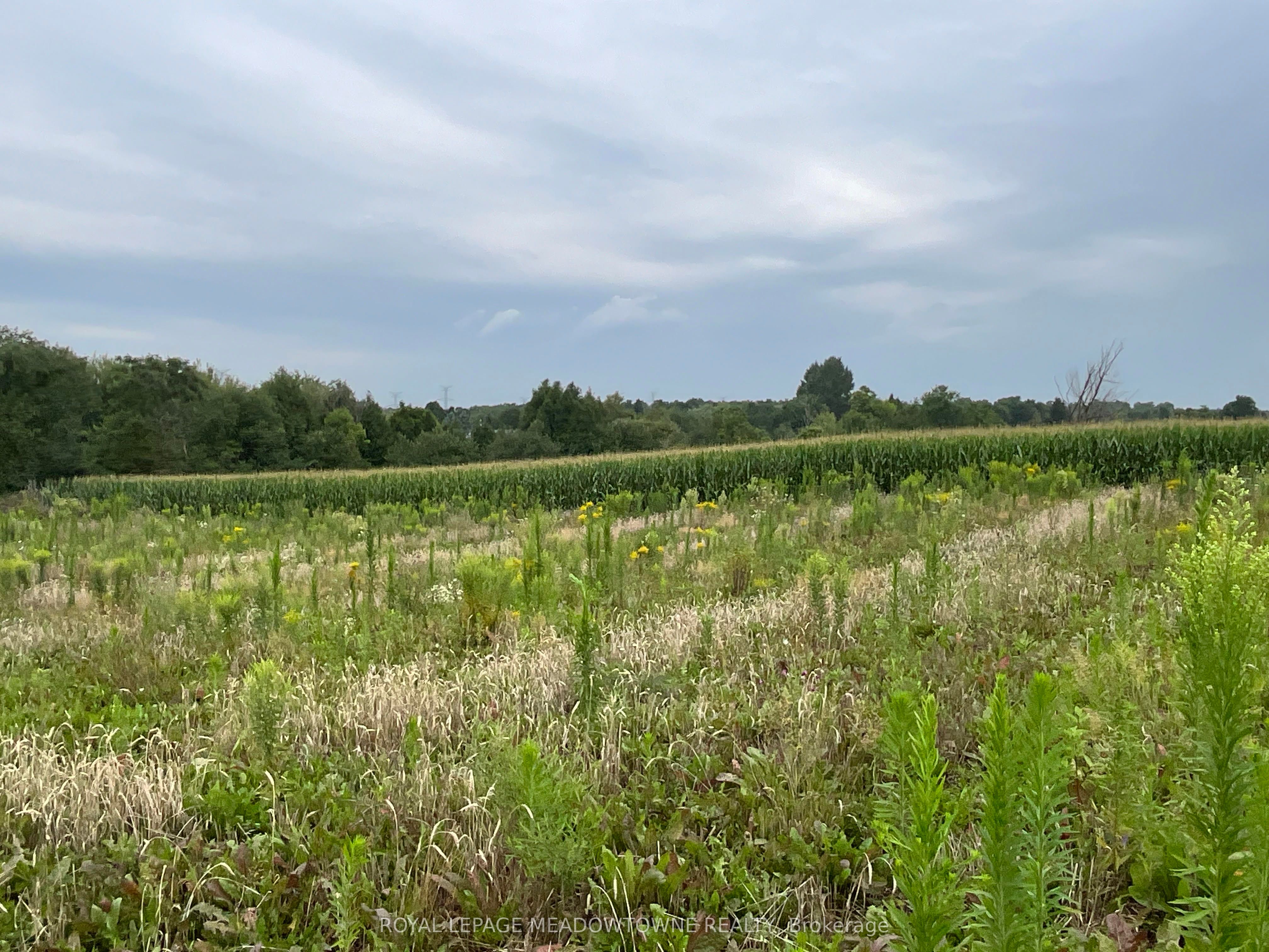 5145 5th Line Property Photo 10
