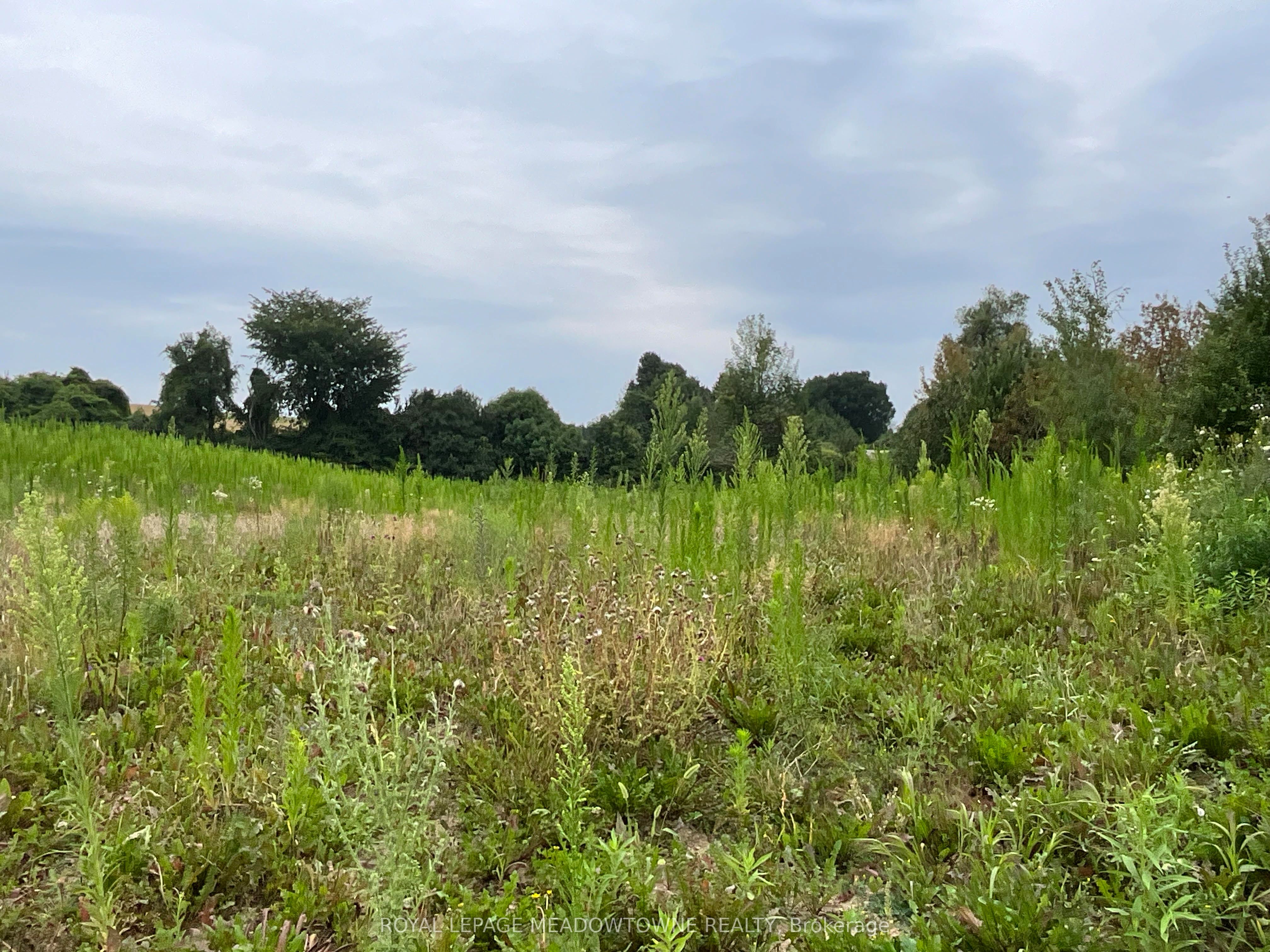 5145 Fifth Line Property Photo 15
