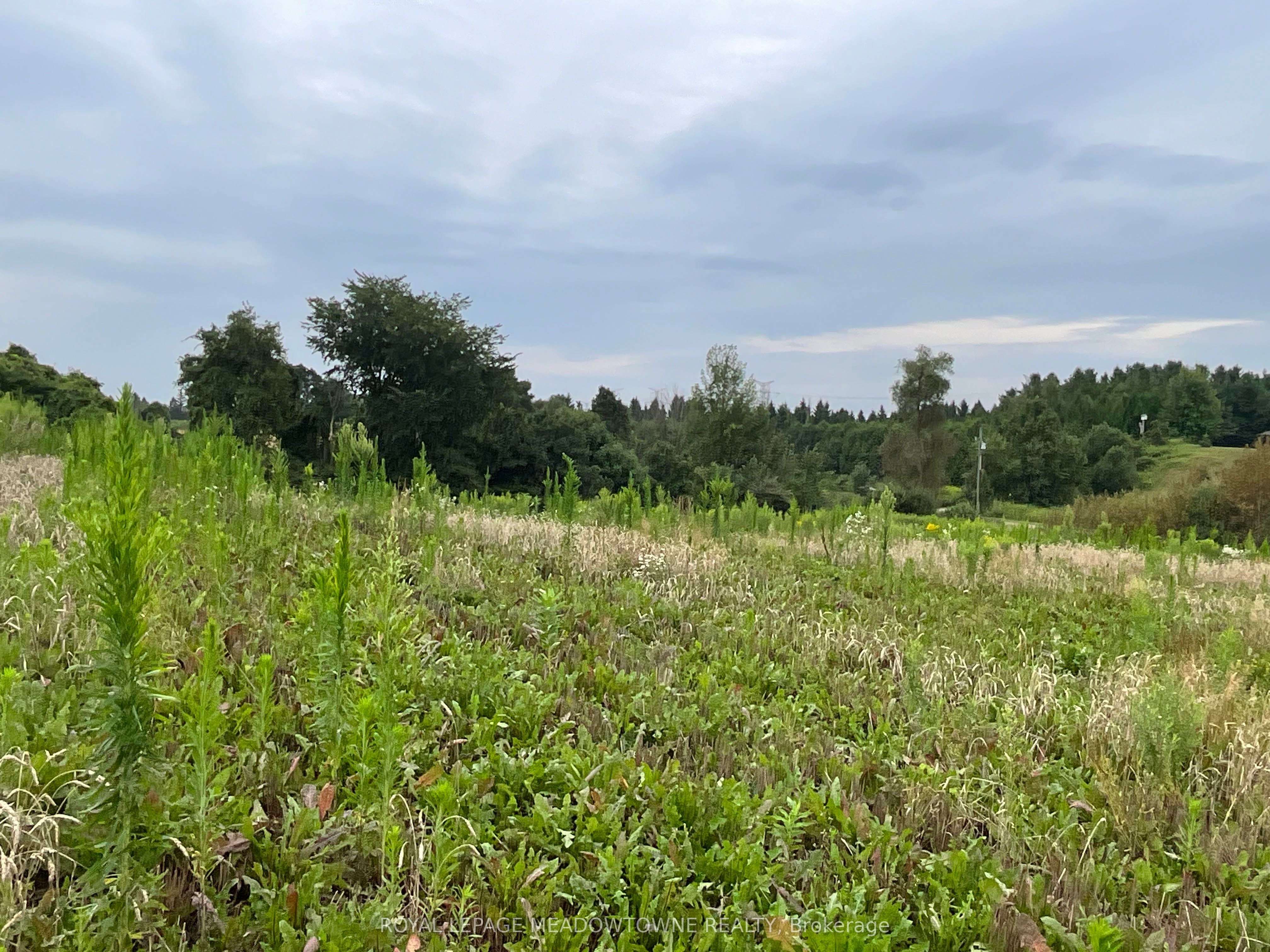 5145 Fifth Line Property Photo 16