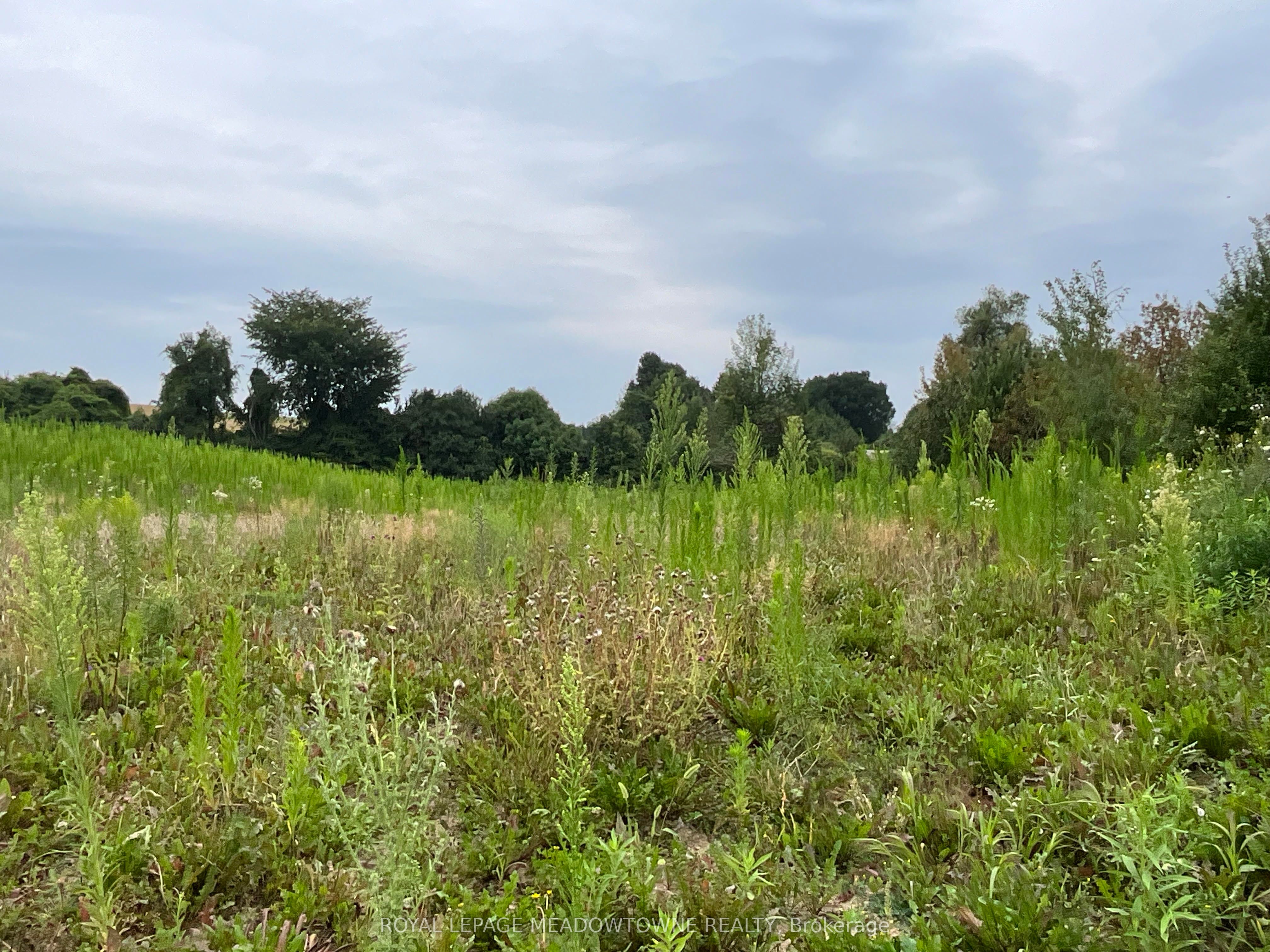 5145 5th Line Property Photo 16