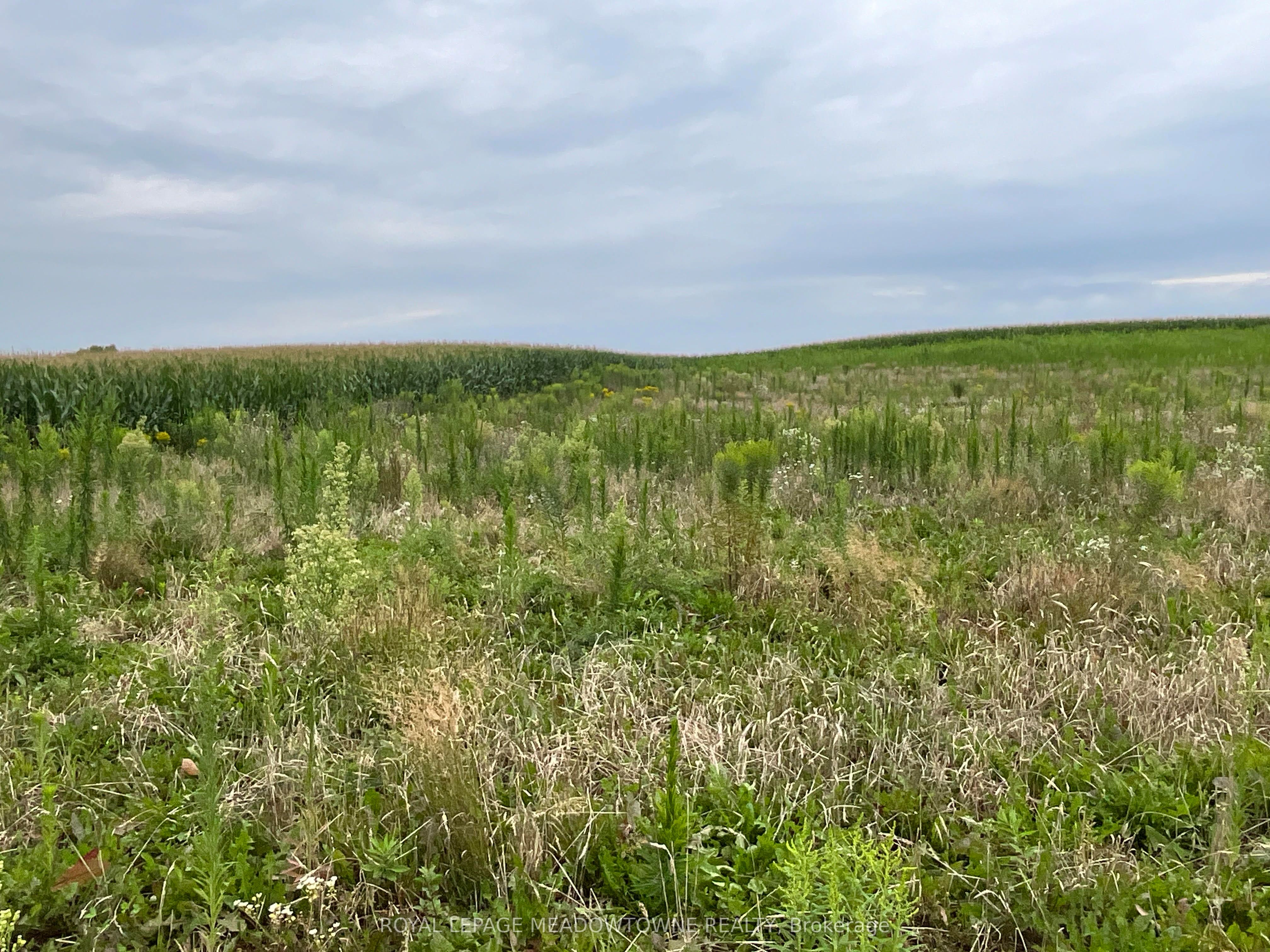 5145 Fifth Line Property Photo 17