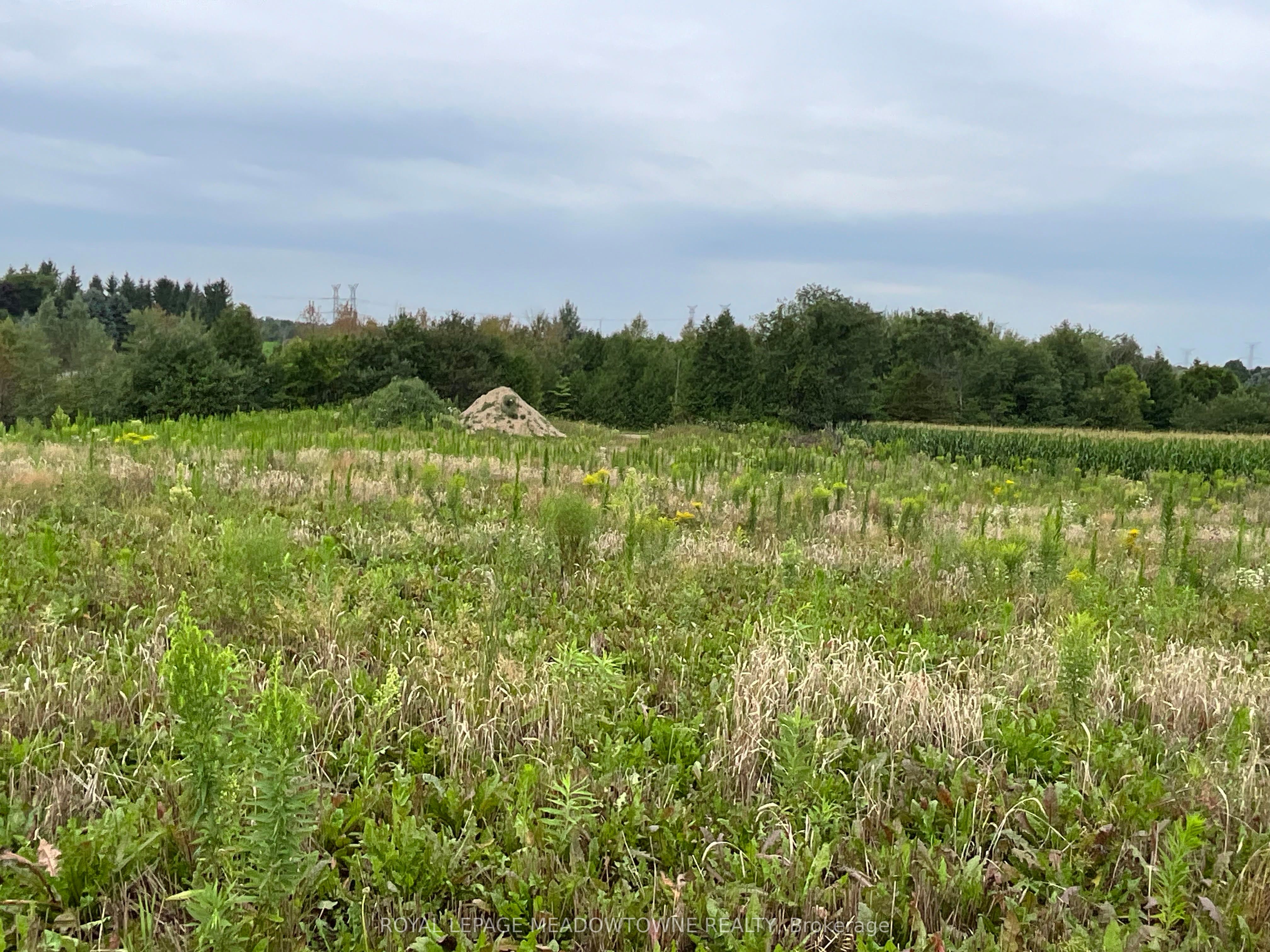 5145 Fifth Line Property Photo 18