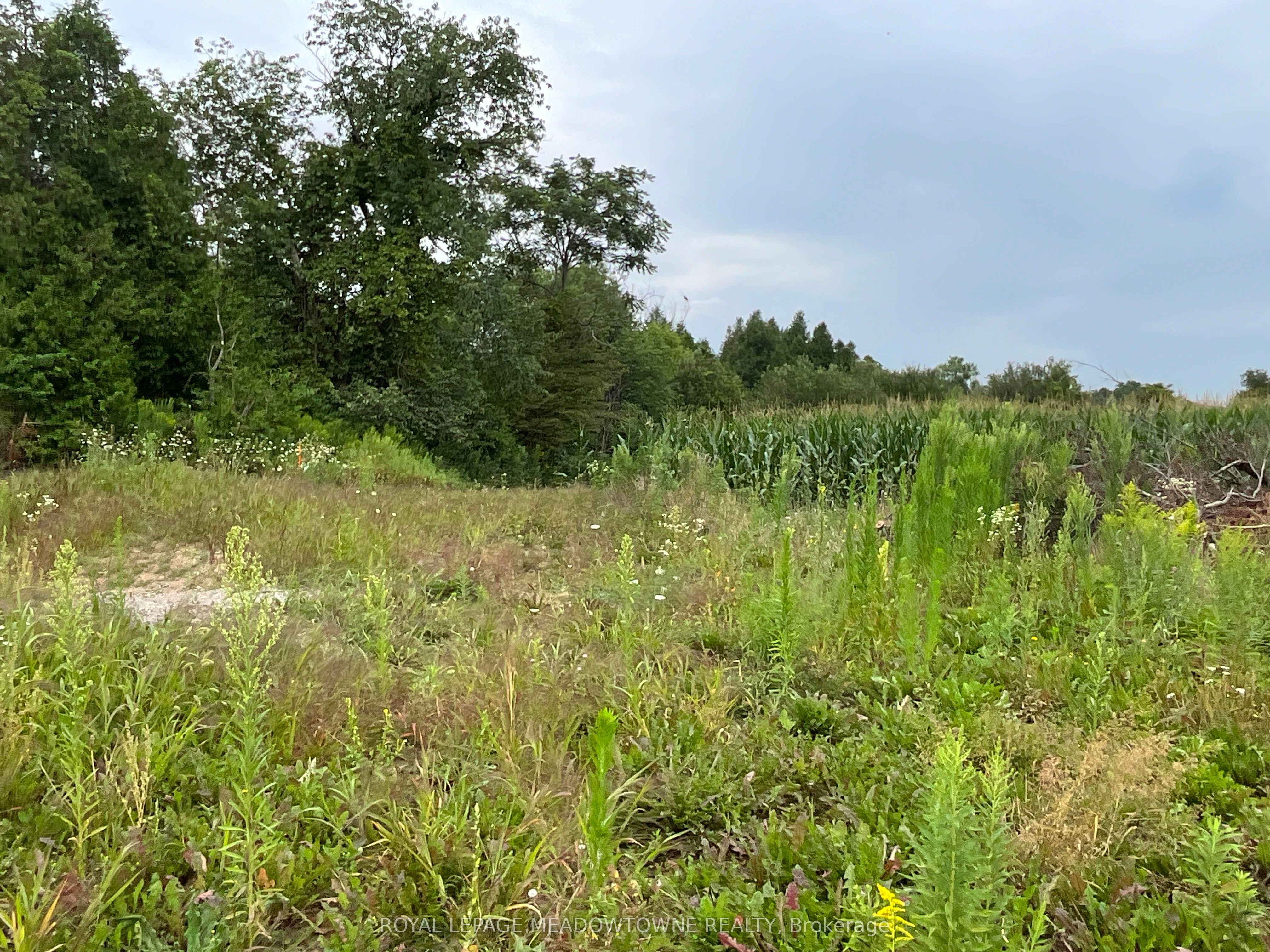 5145 Fifth Line Property Photo 19