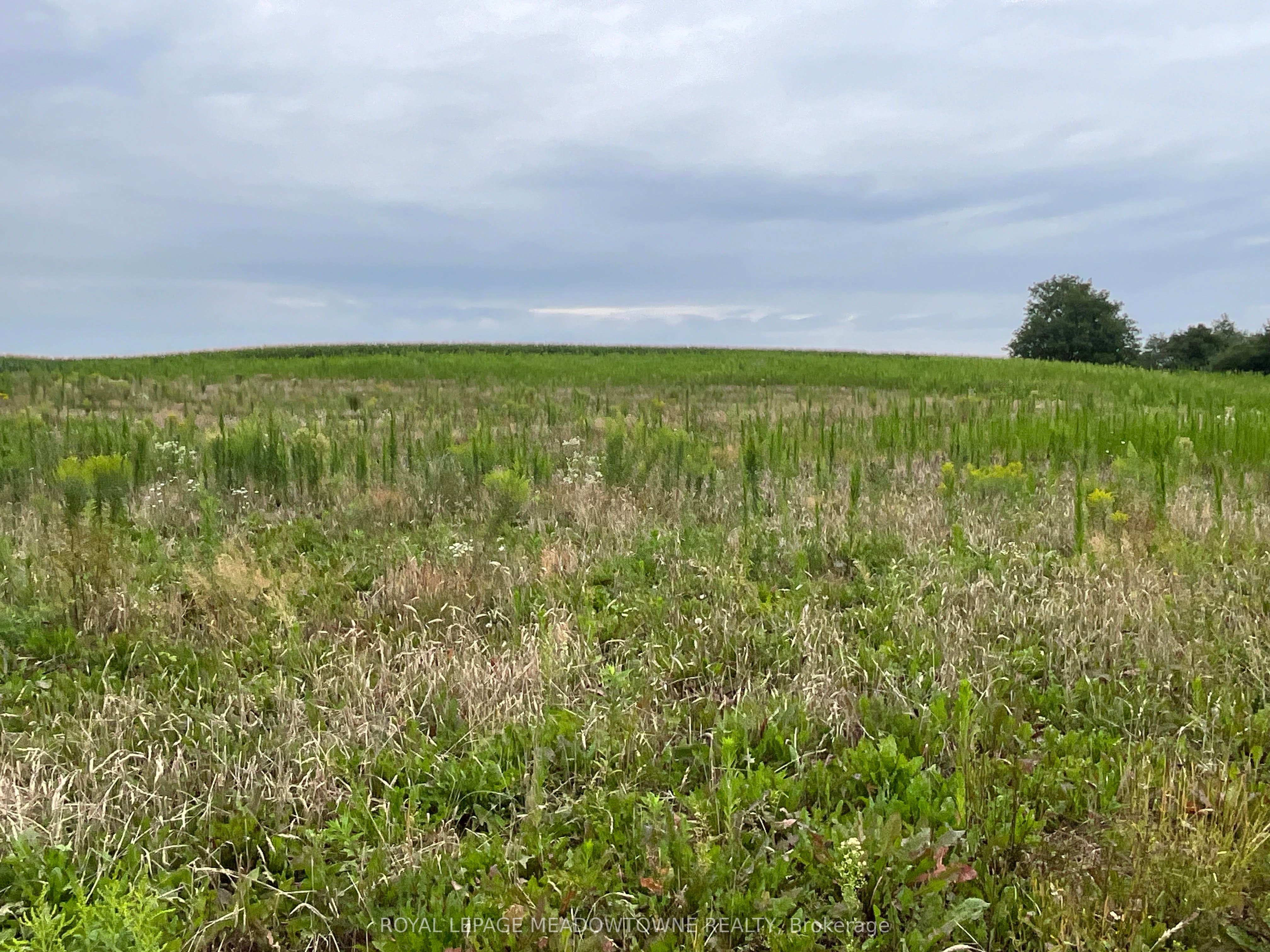 5145 5th Line Property Photo 21