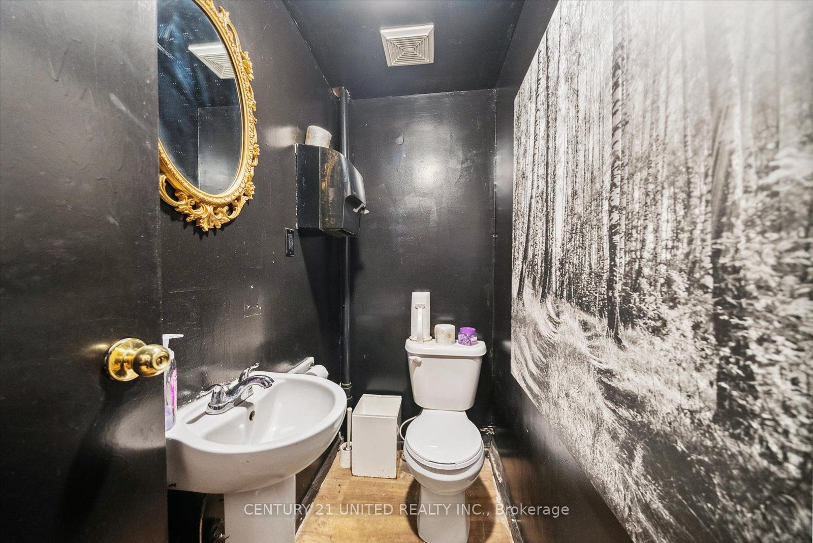 221 Hunter Street Property Photo 21