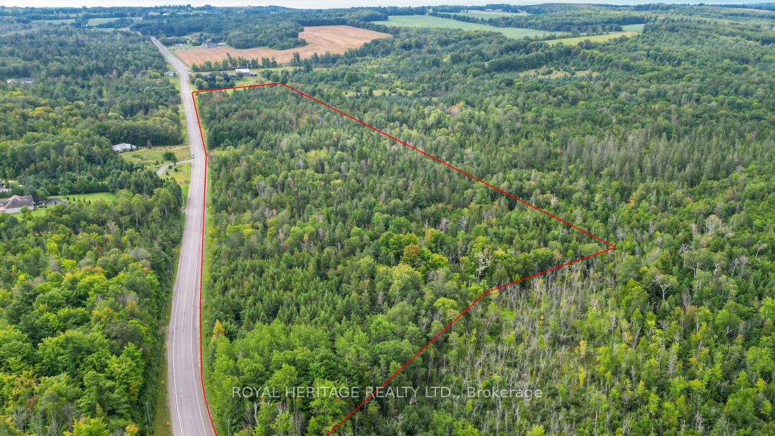 0 County Road 25 Property Photo 2
