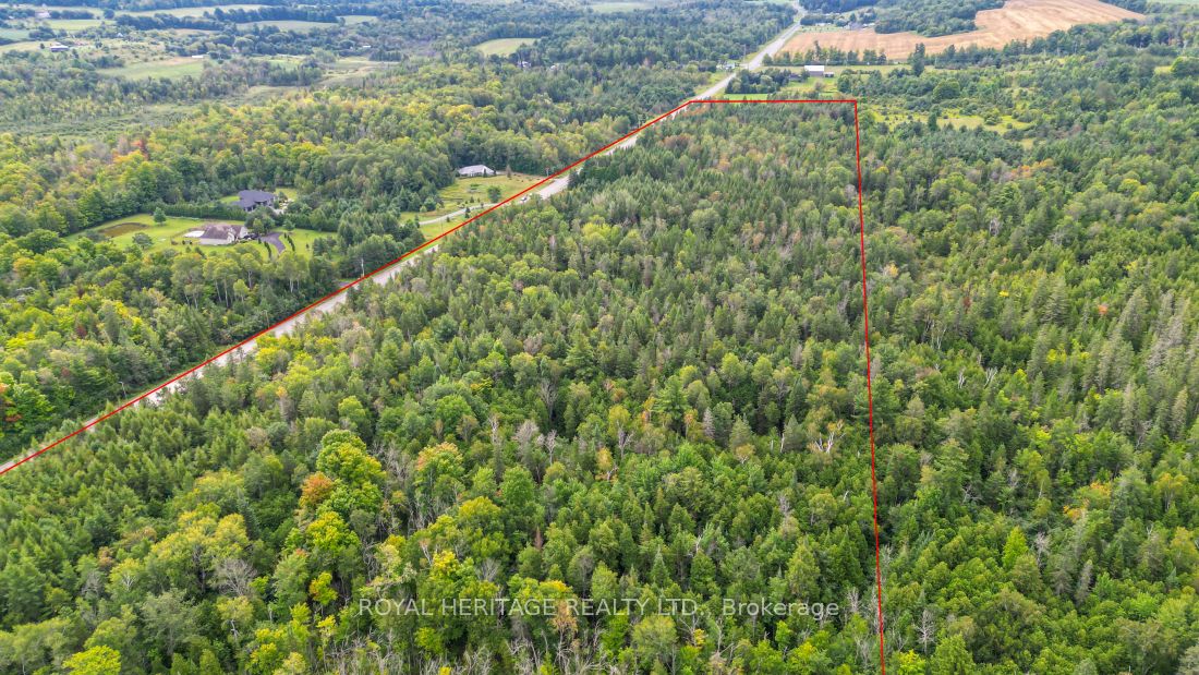 0 County Road 25 Property Photo 3