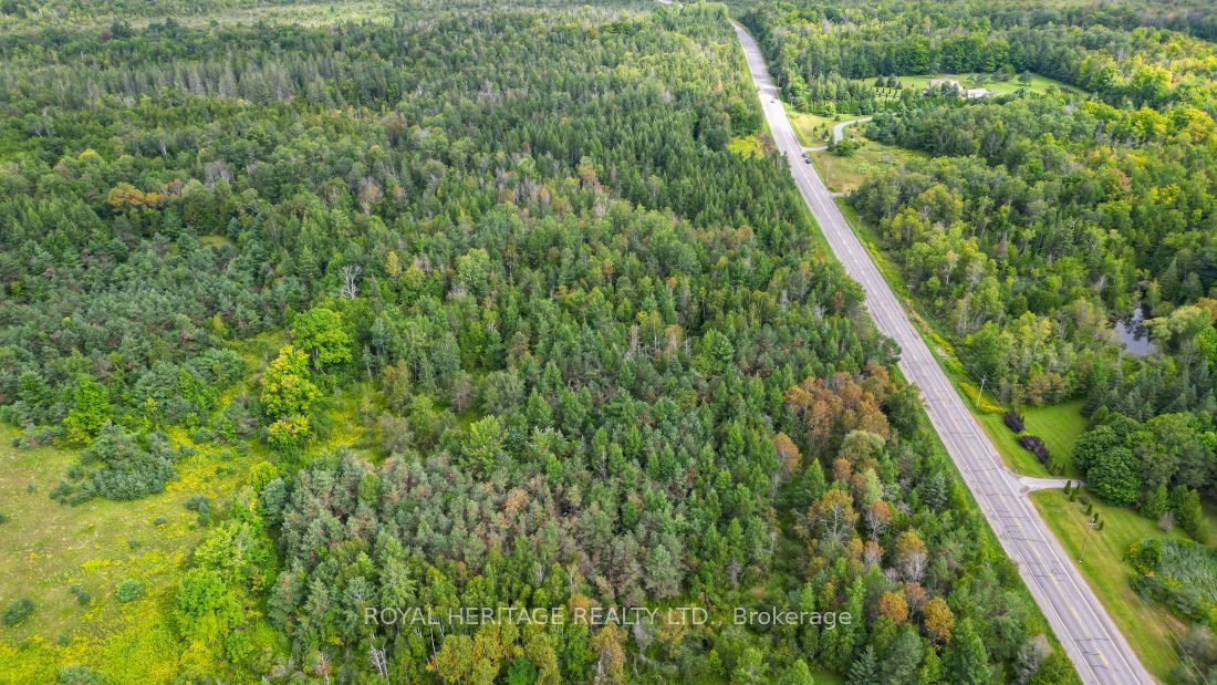 0 County Road 25 Property Photo 4
