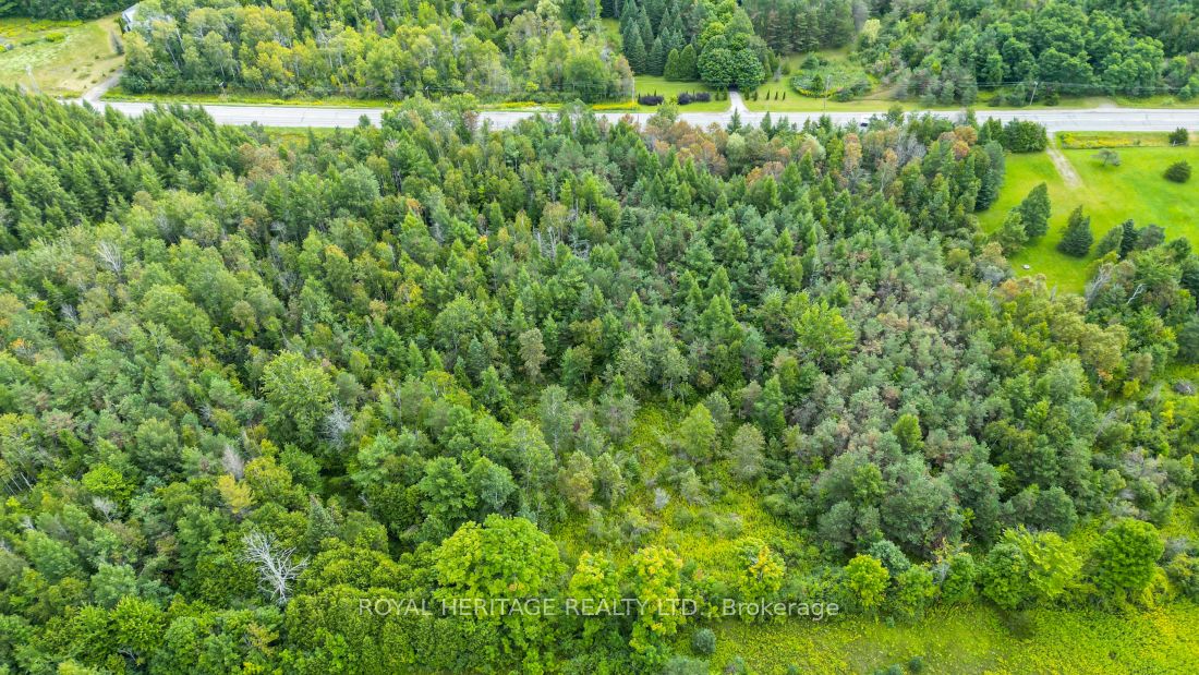0 County Road 25 Property Photo 6