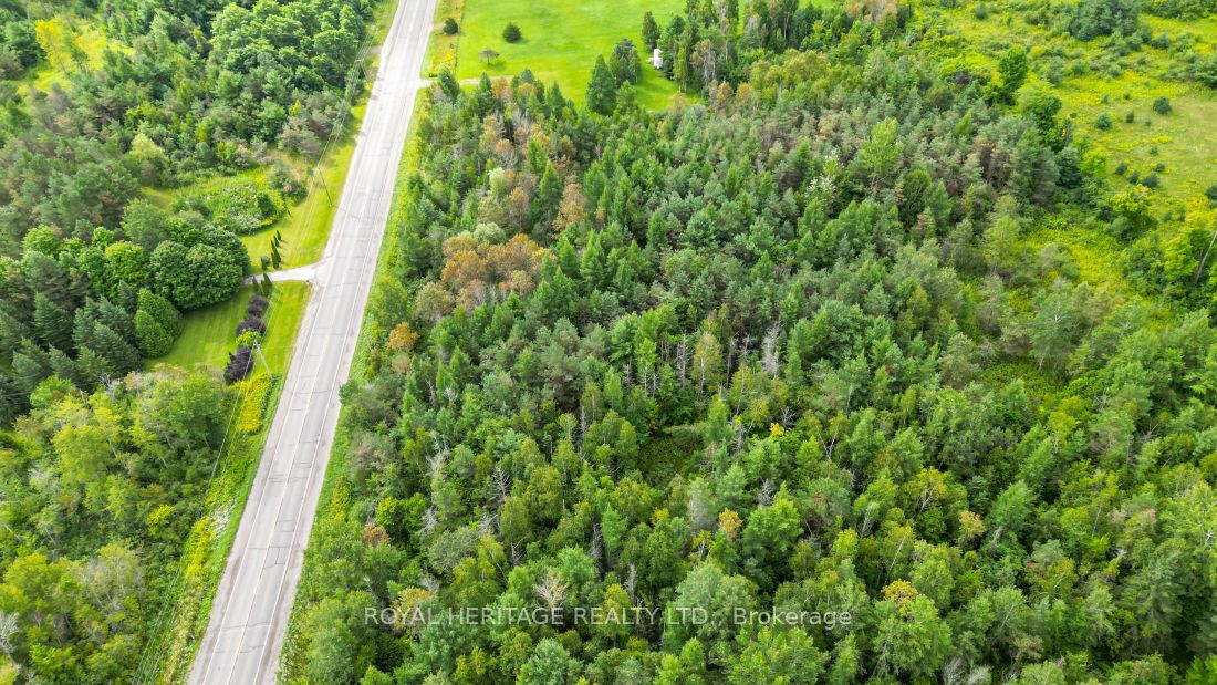 0 County Road 25 Property Photo 7