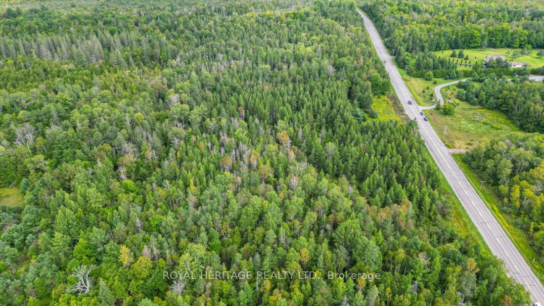 0 County Road 25 Property Photo 8