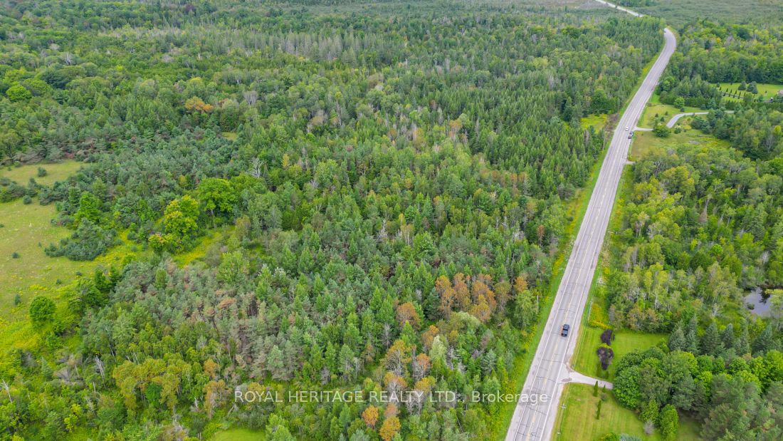 0 County Road 25 Property Photo 9