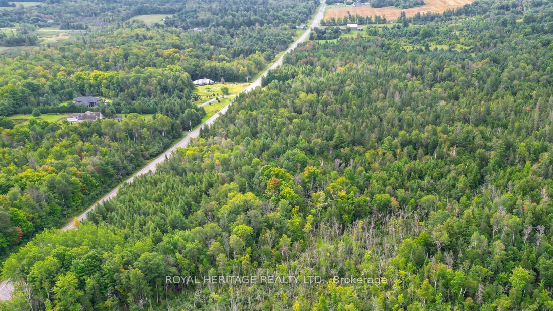 0 County Road 25 Property Photo 11