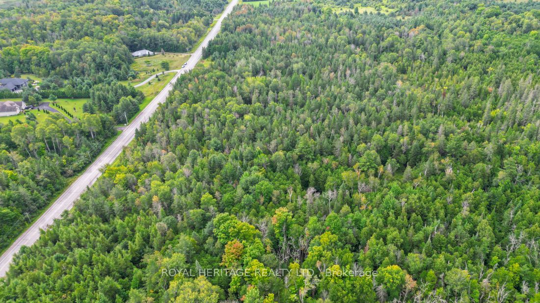 0 County Road 25 Property Photo 12