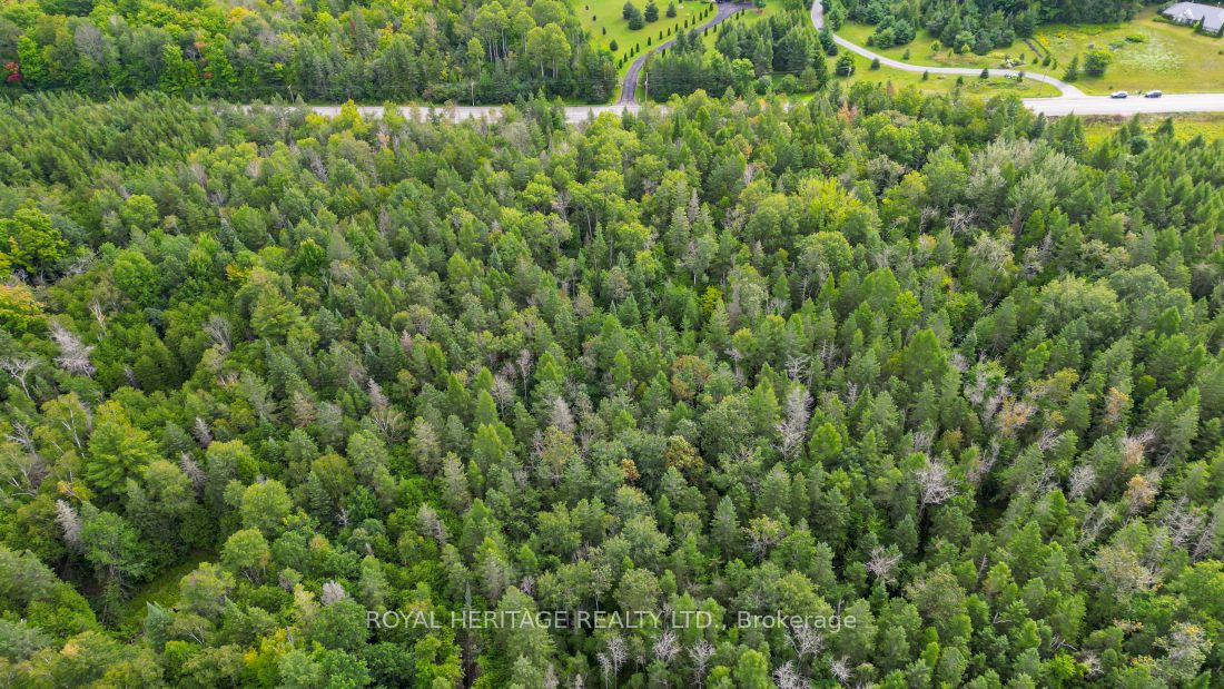 0 County Road 25 Property Photo 14