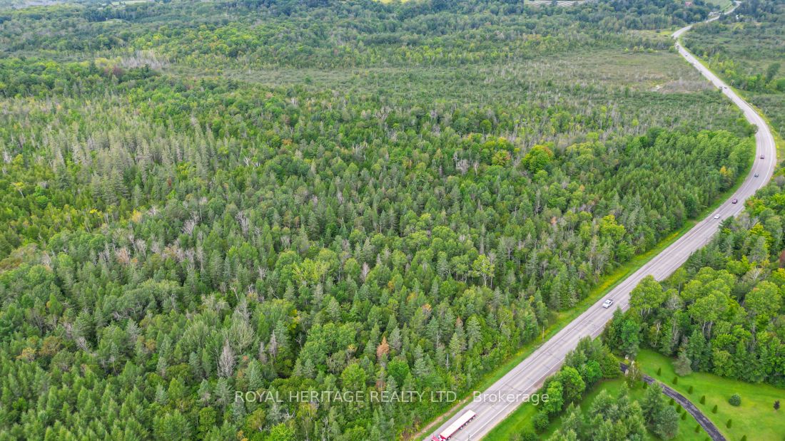0 County Road 25 Property Photo 15