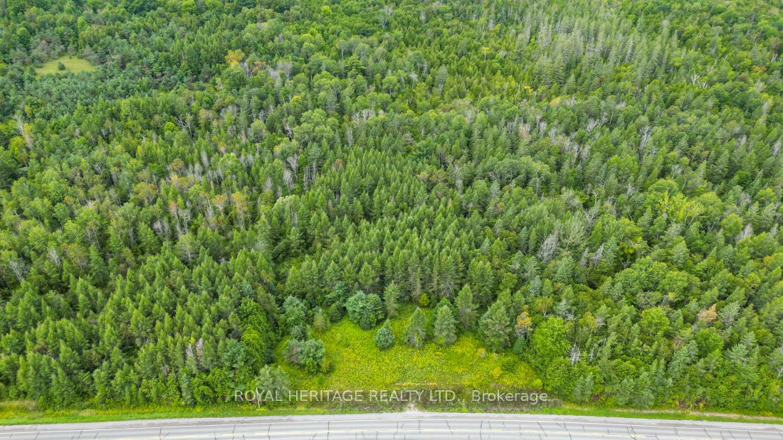 0 County Road 25 Property Photo 16