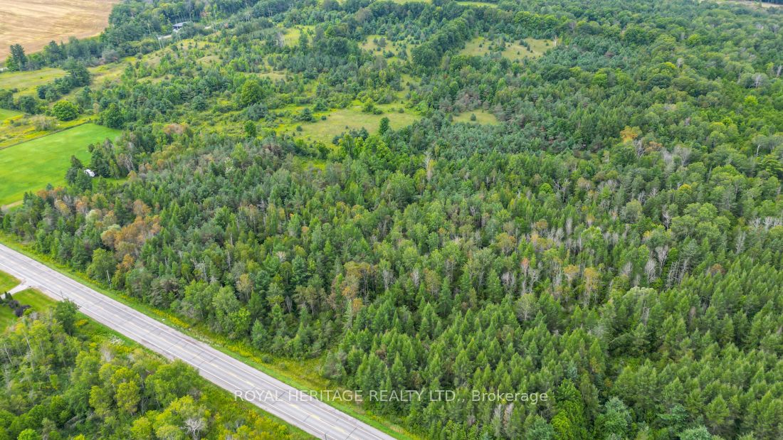 0 County Road 25 Property Photo 17