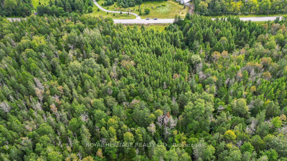 0 County Road 25 Property Photo 18