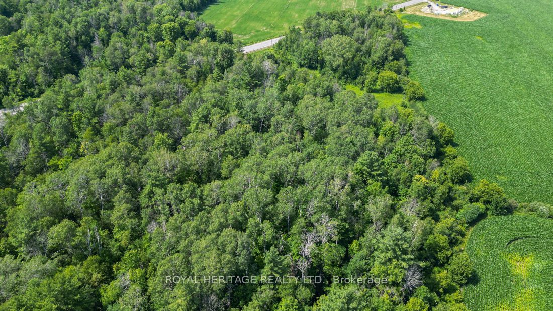 00 County Road 25 Property Photo 8