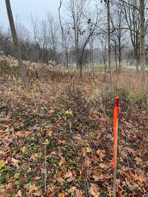 #lot # 7 - 60 North Street Property Photo 1