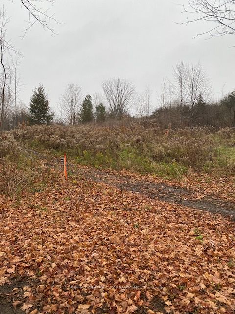 #lot # 7 - 60 North Street Property Photo 3