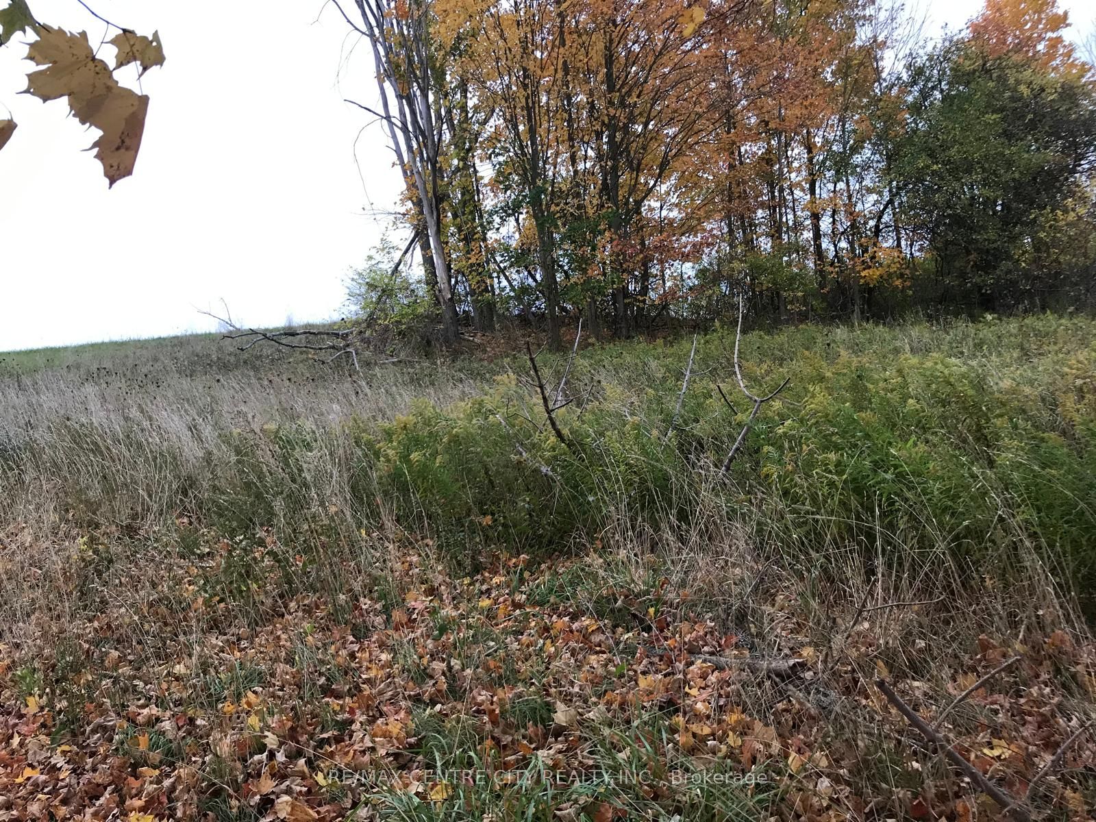 #lot # 7 - 60 North Street Property Photo 8