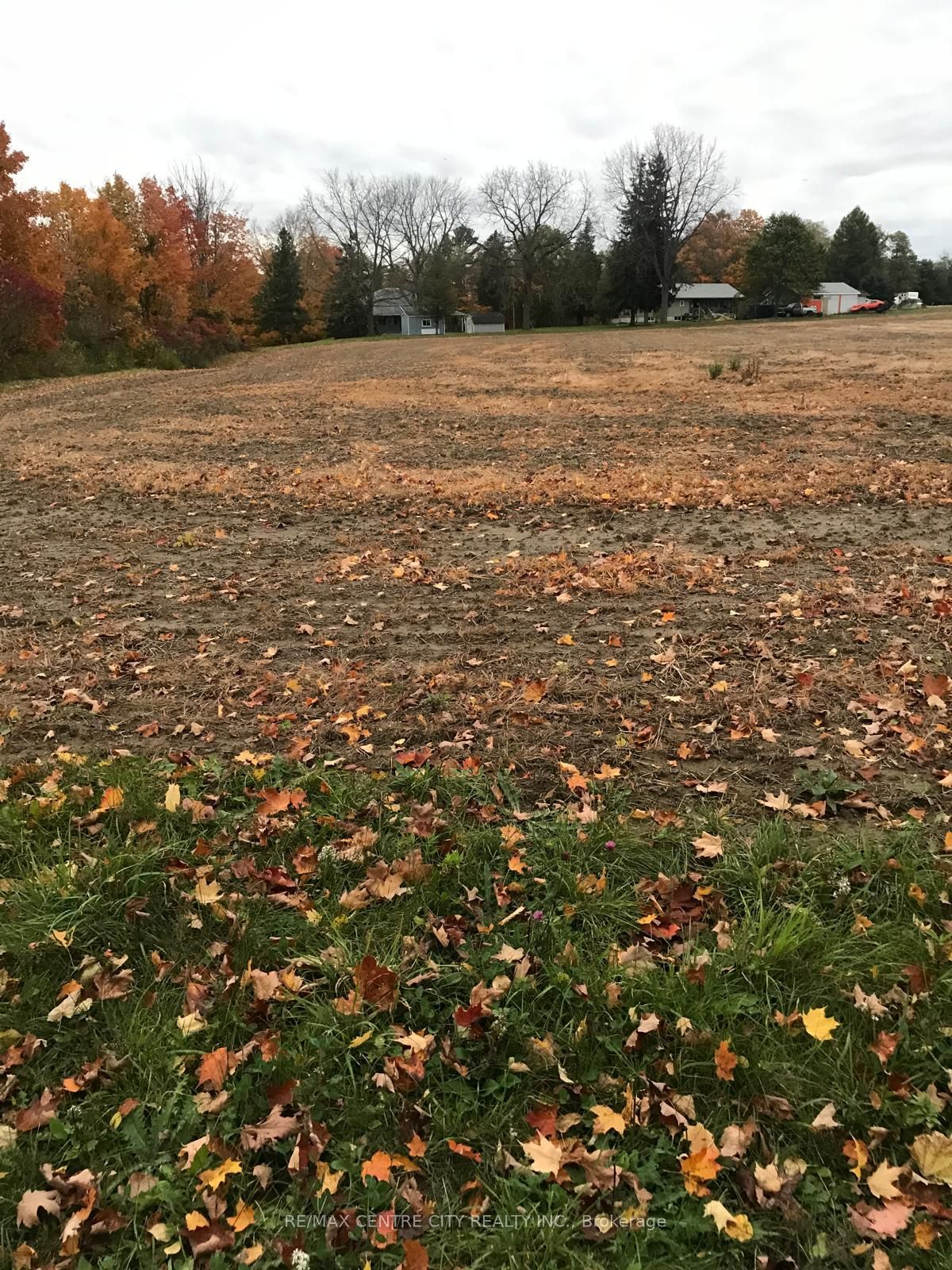 #lot # 7 - 60 North Street Property Photo 10