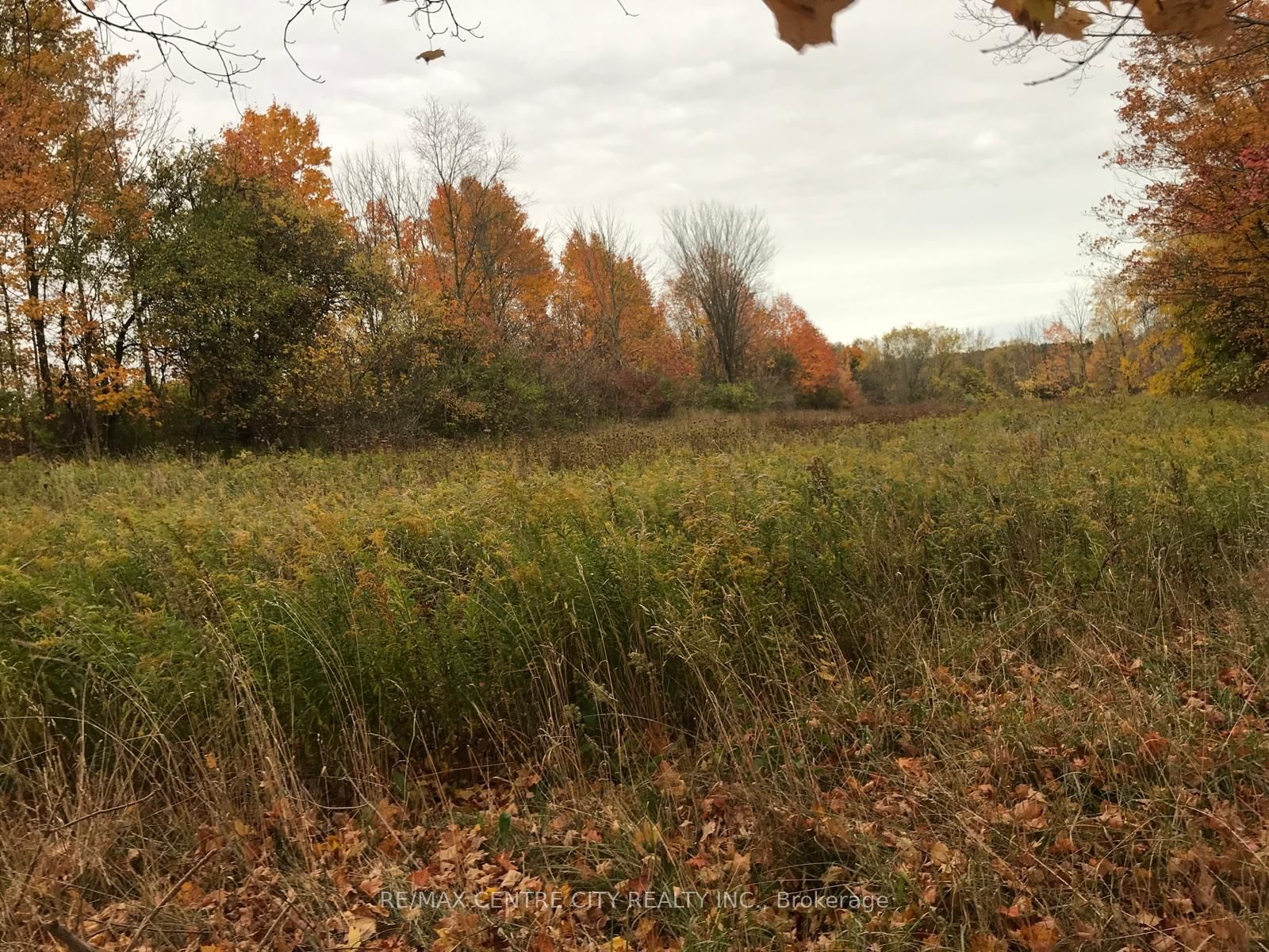#lot # 3 - 44 North Street Property Photo 9