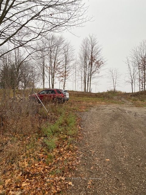 #lot 1 - 36 North Street Property Photo 3