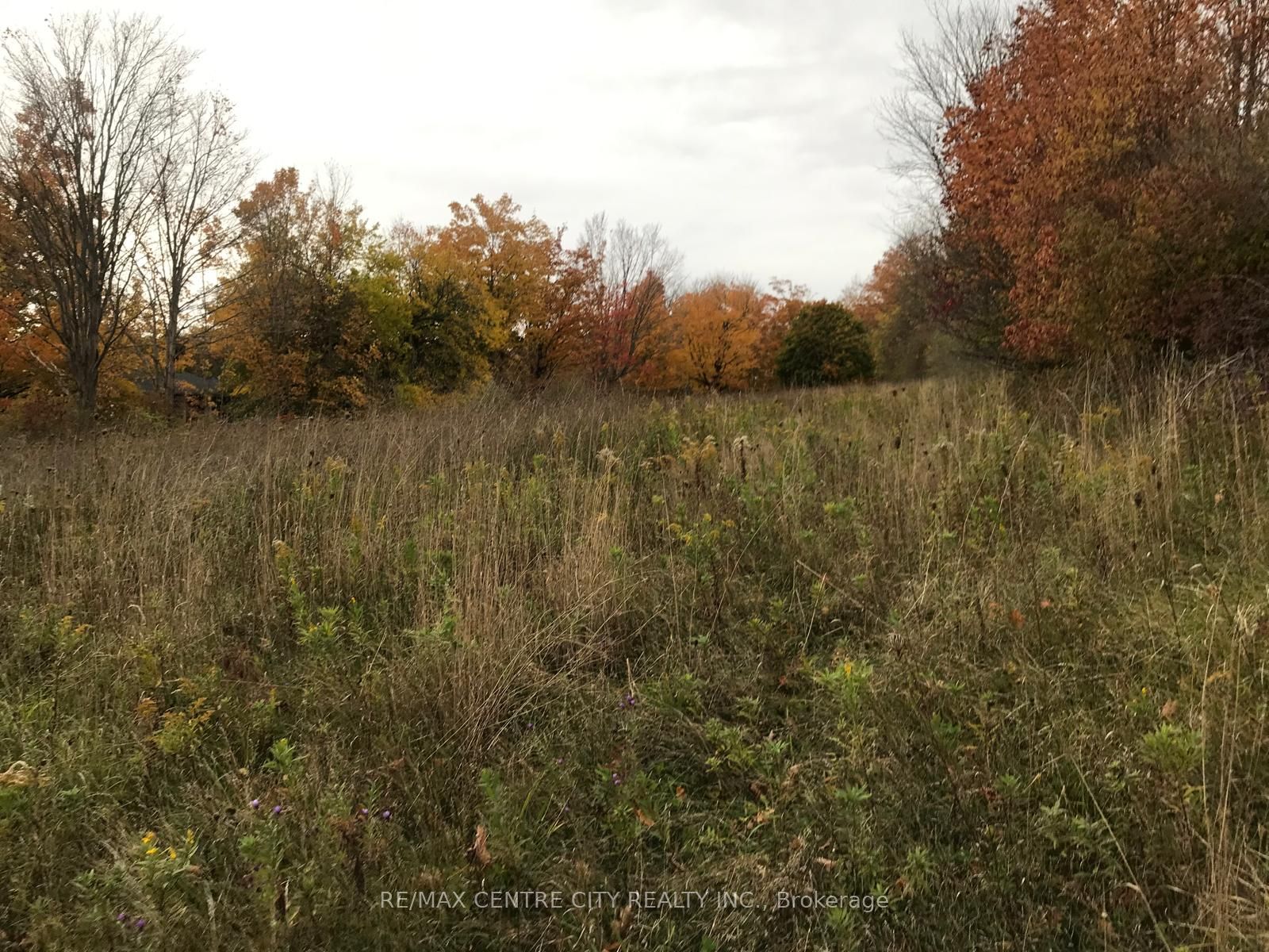 #lot 1 - 36 North Street Property Photo 6