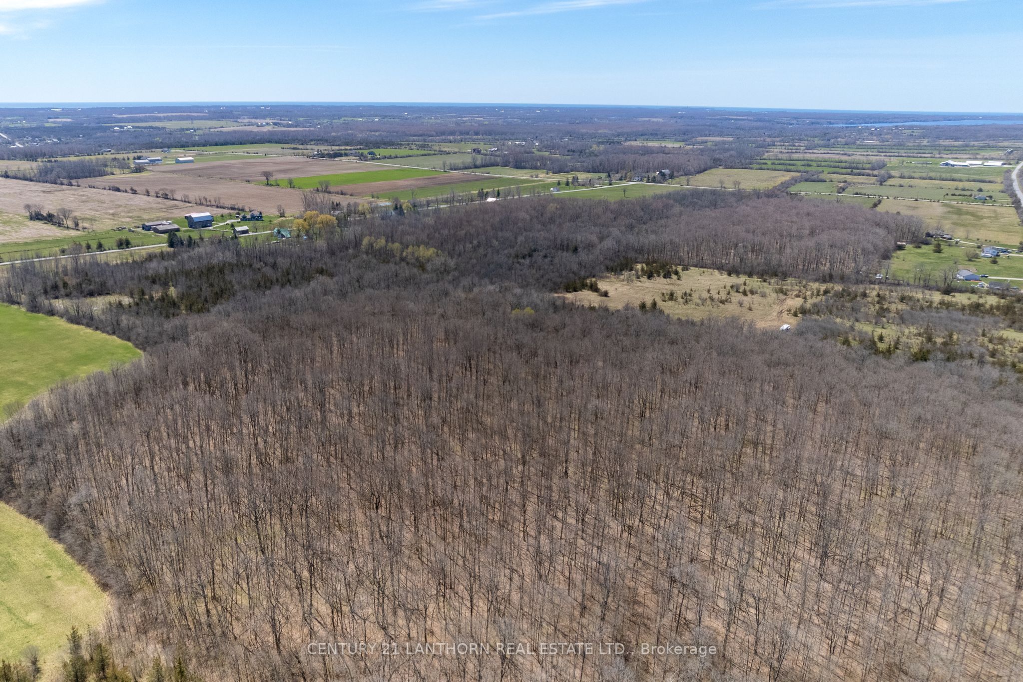 1050 Burr Road Property Photo 6