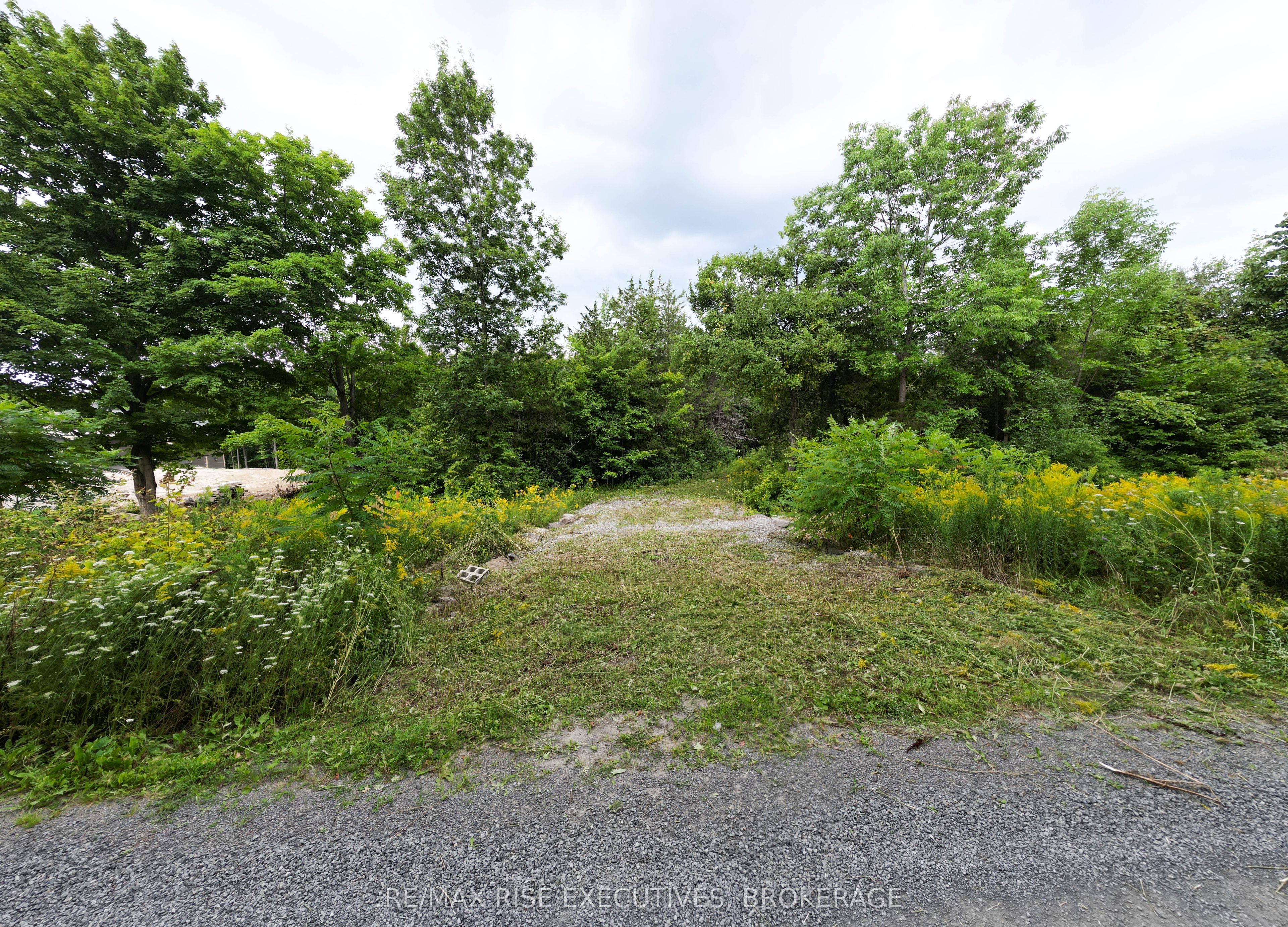 Lot 9 Balsam Lane Property Photo 9