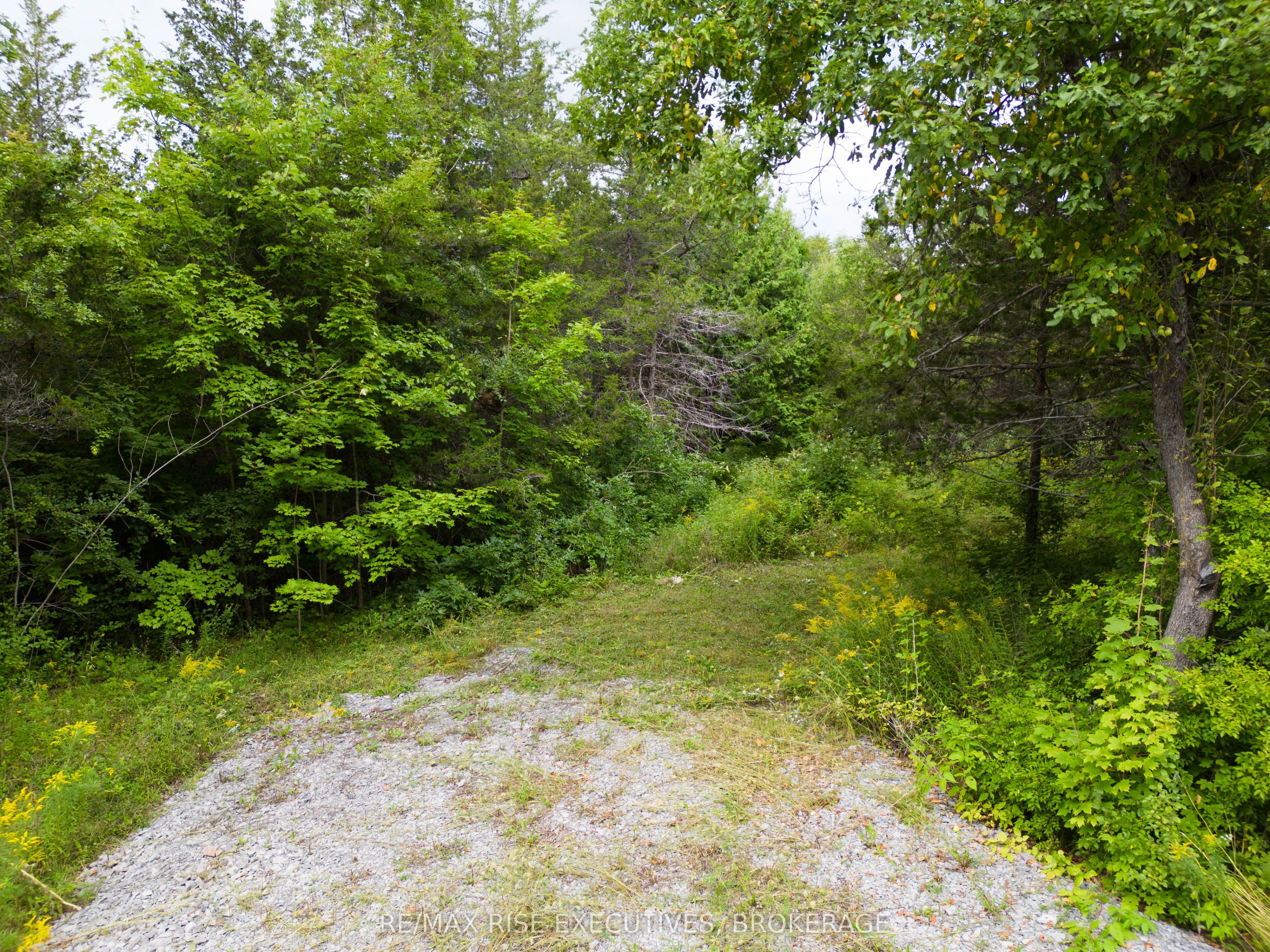 Lot 9 Balsam Lane Property Photo 10