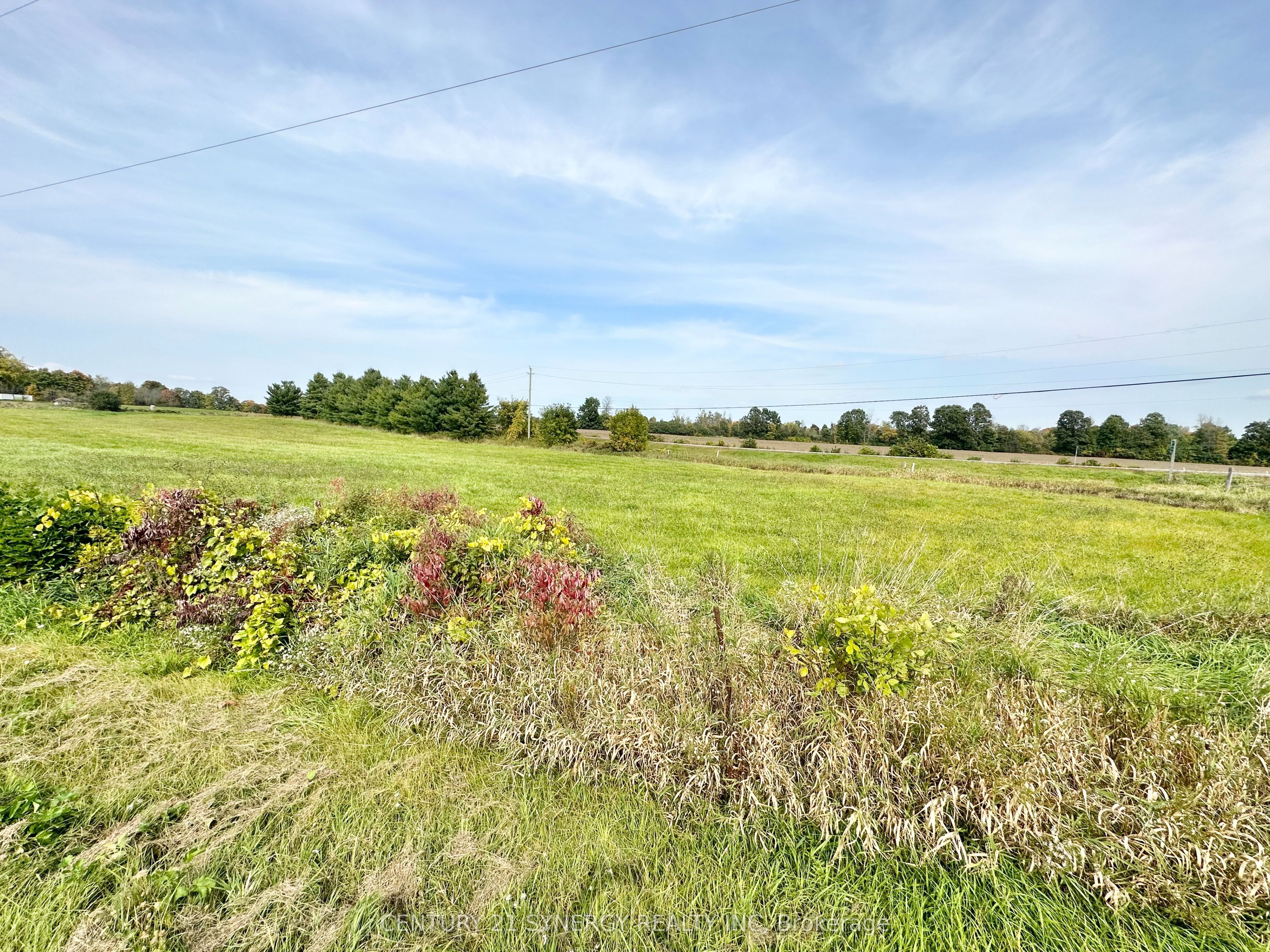 0 County Road 1 Road Property Photo 1