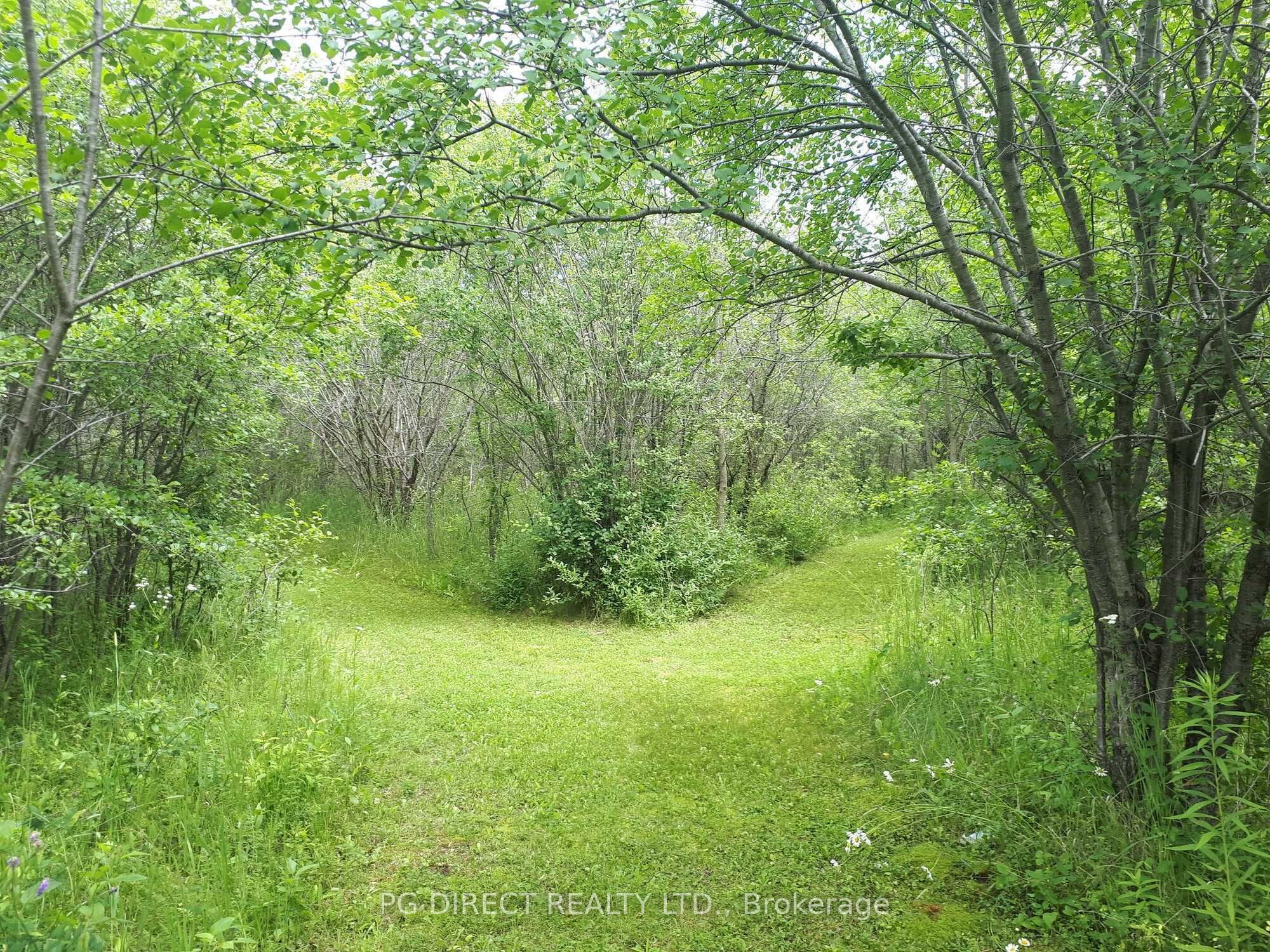 209 Hiscock Shores Rd Property Photo 7