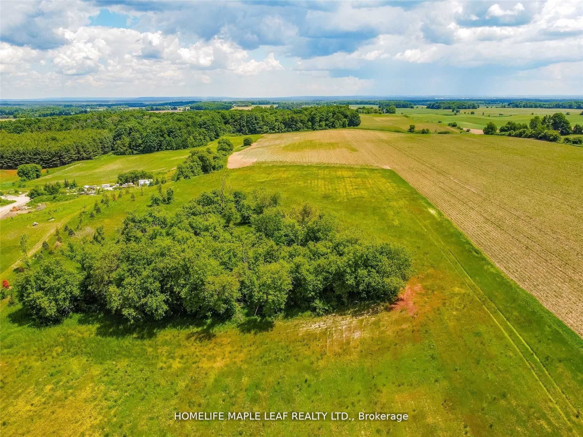 958423 7th Line Property Photo 16